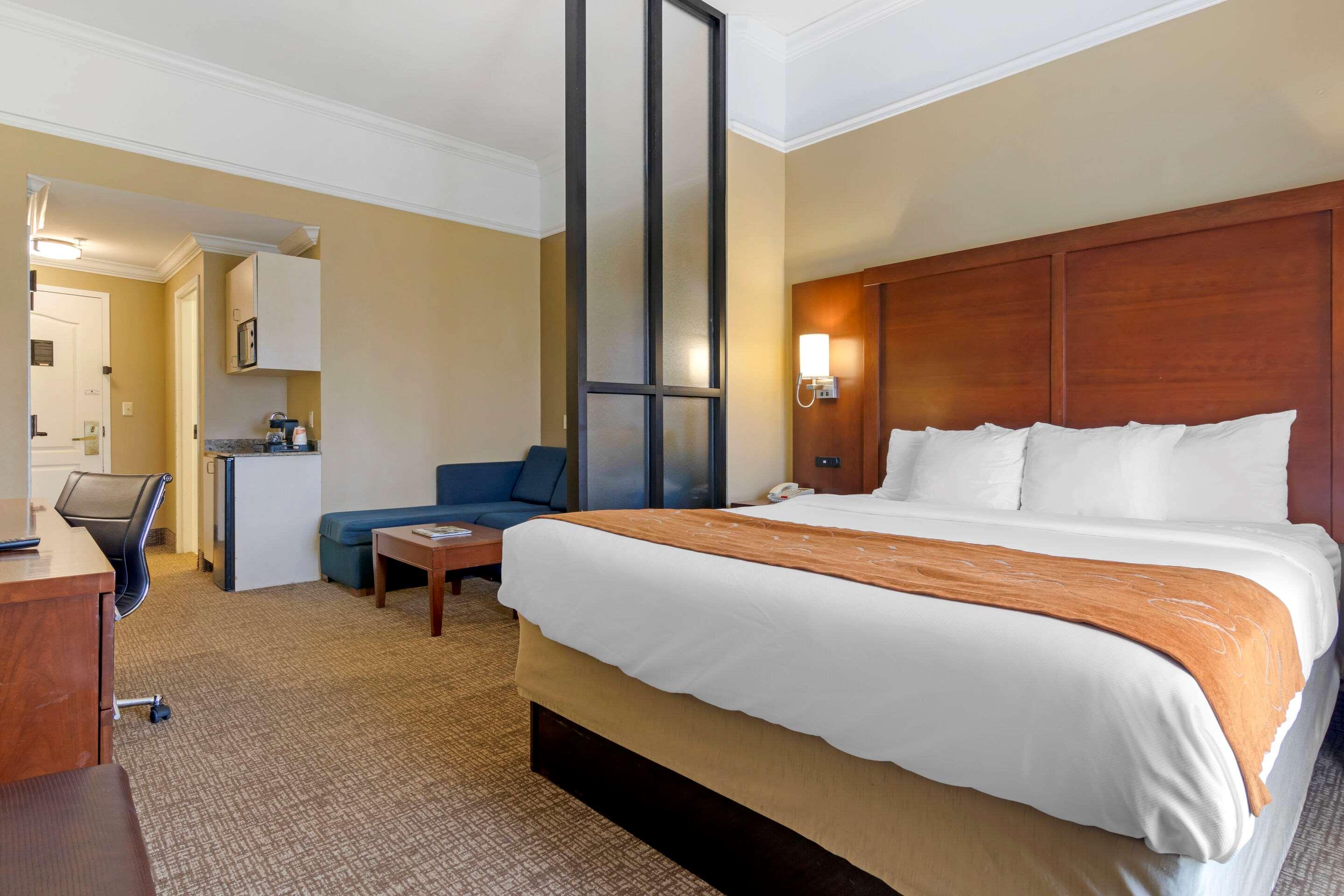 Suite King Bed Non Smoking