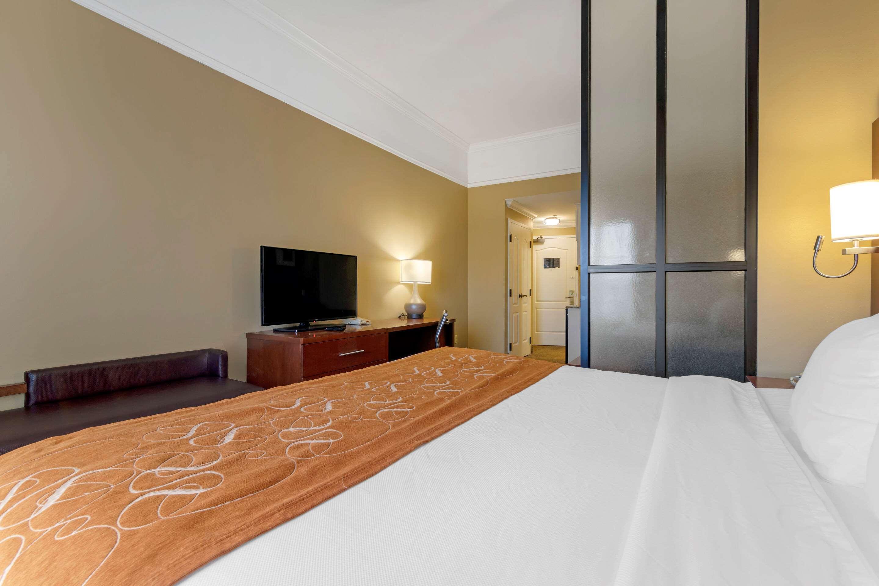 Suite King Bed Non Smoking