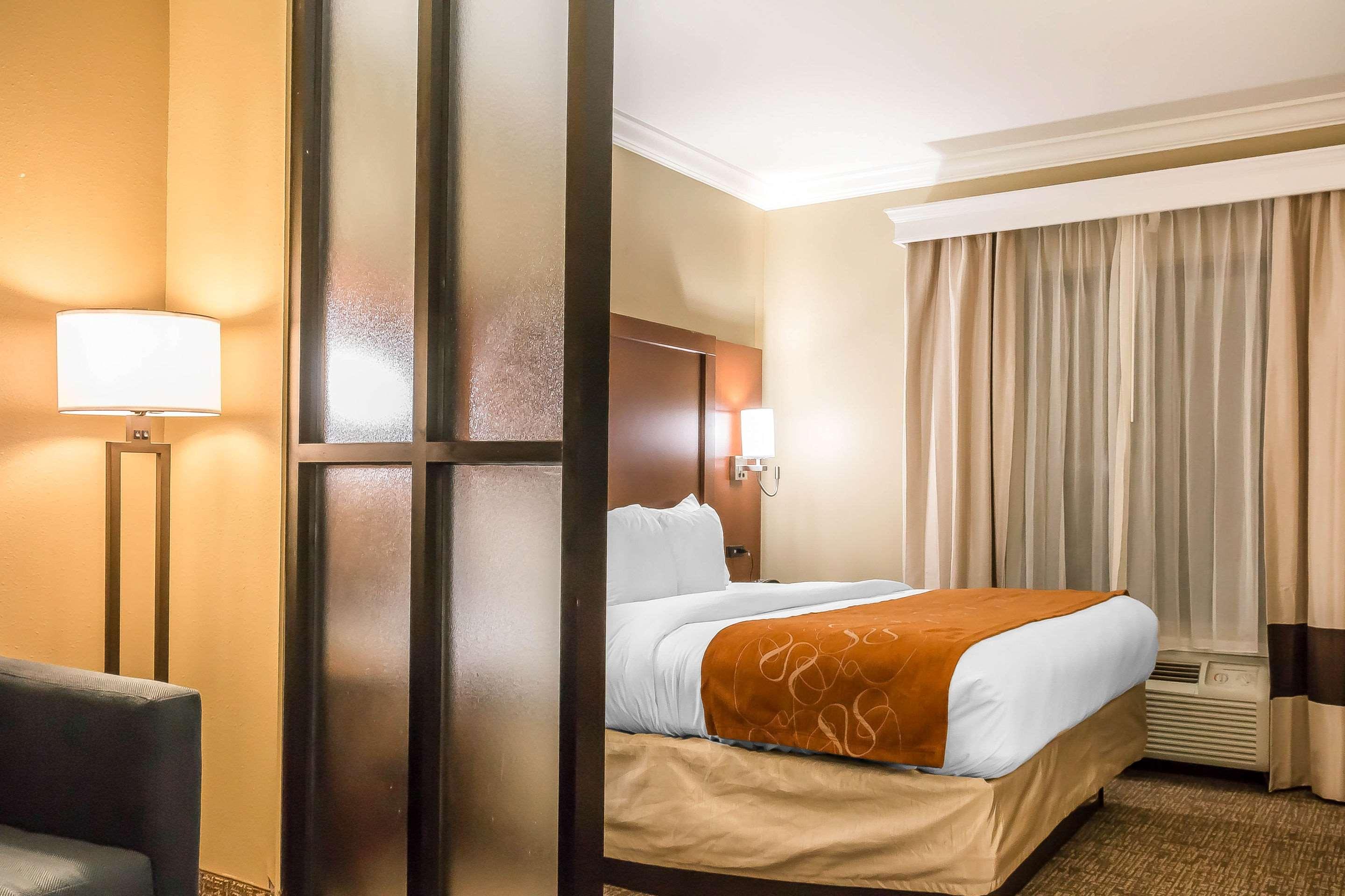 Suite King Bed Non Smoking