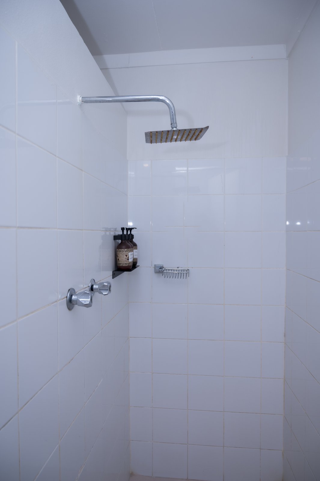 Bed in Dormitory Basic