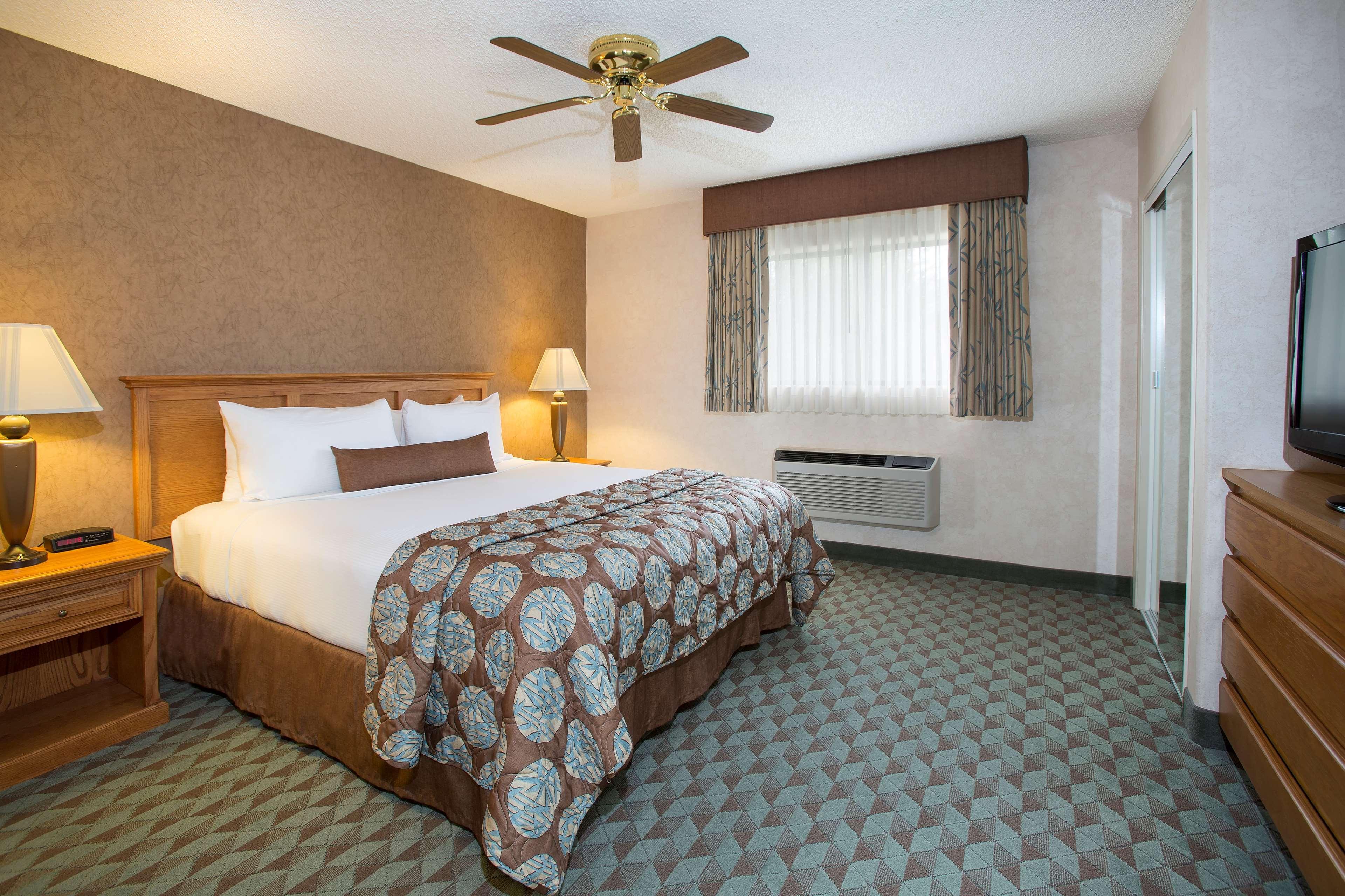 Suite King Bed Non Smoking