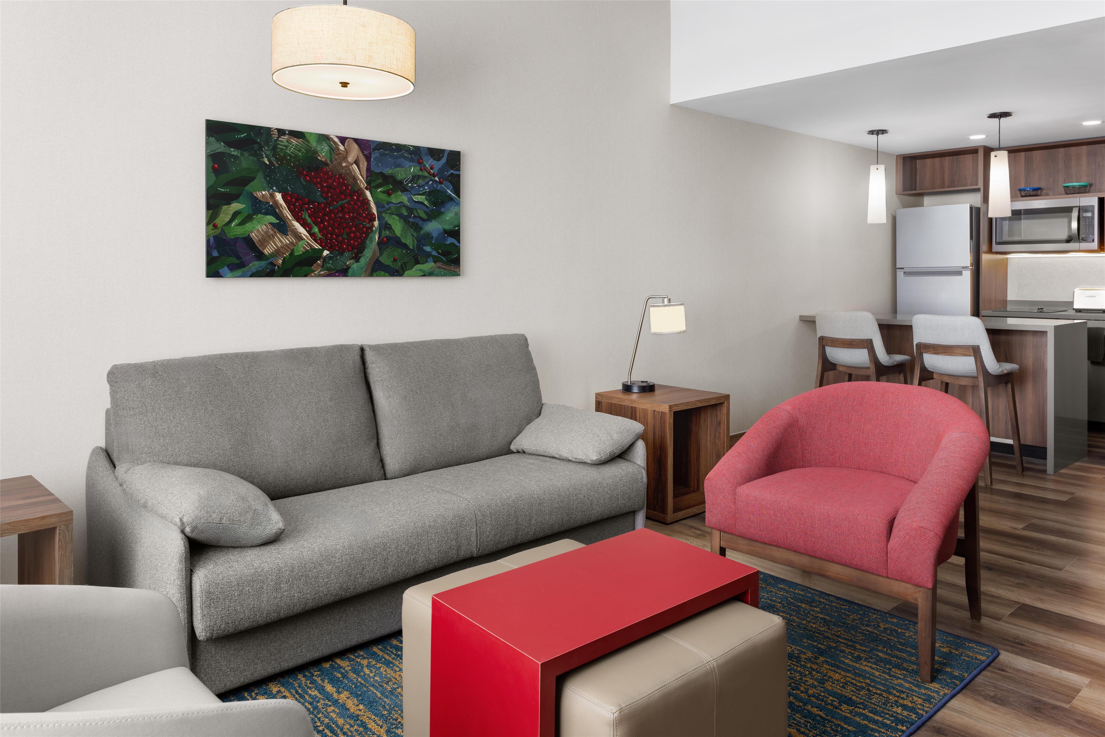 Suite King Bed One Bedroom 