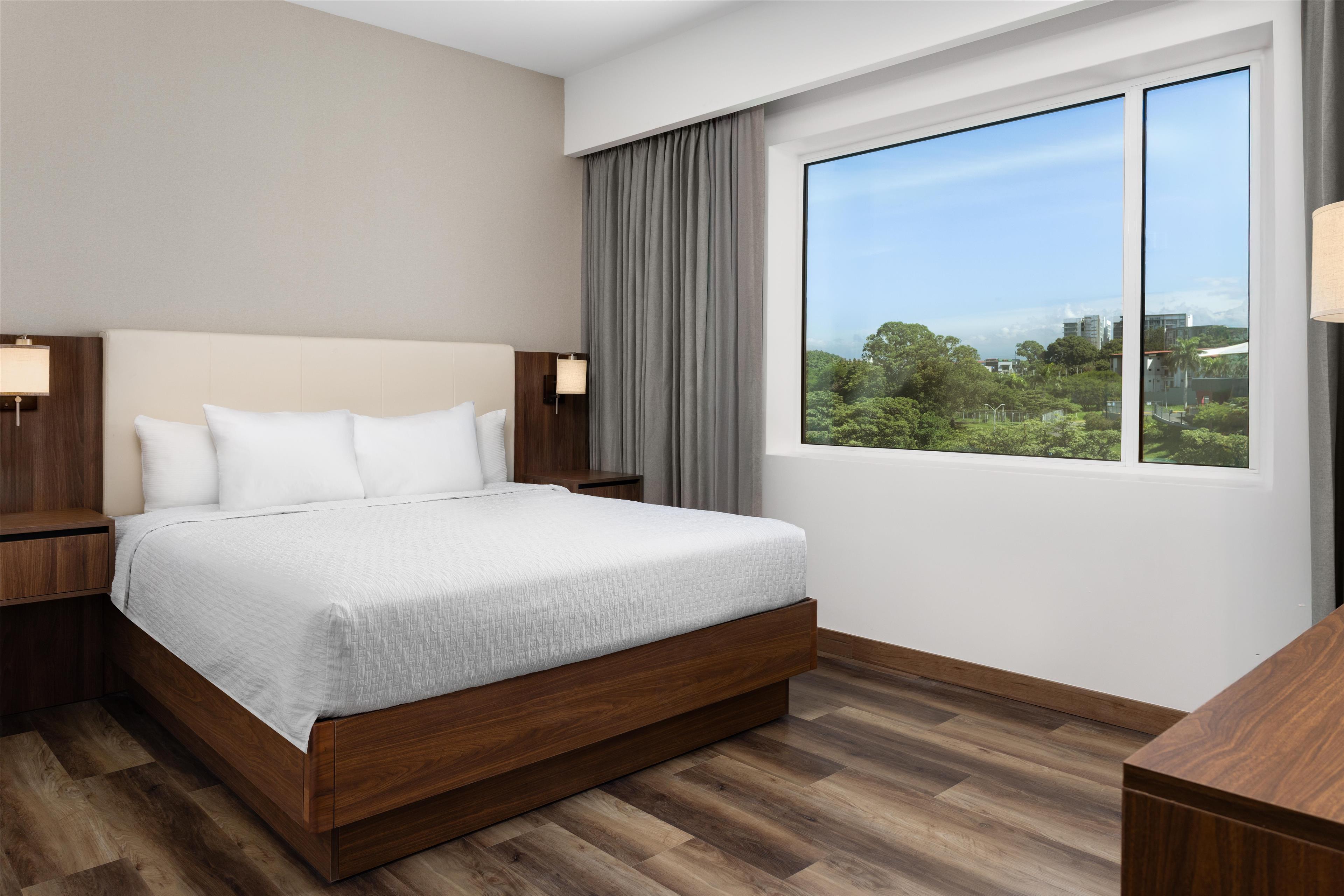 Suite King Bed One Bedroom 