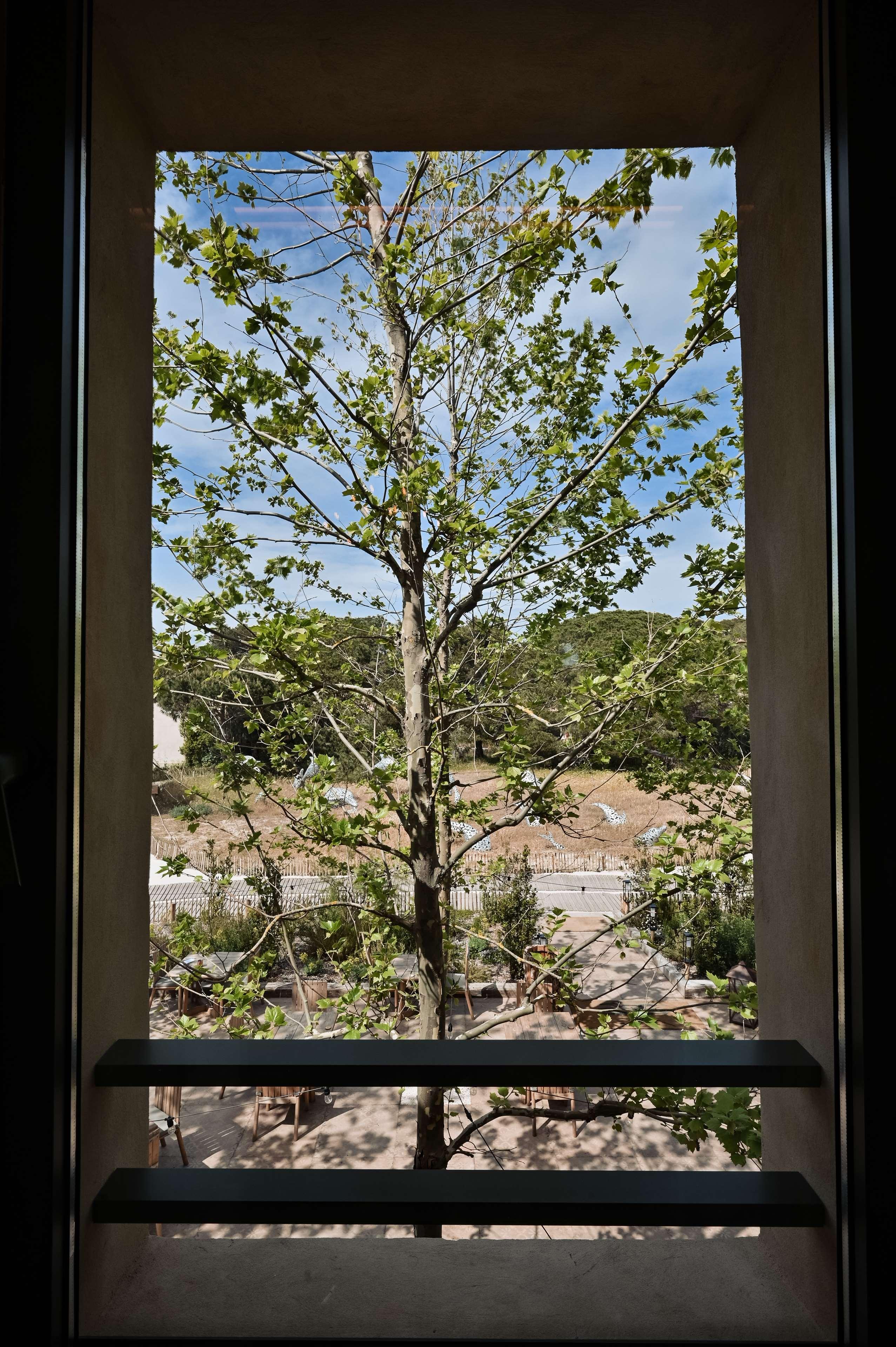 Junior Suite King Size Bed