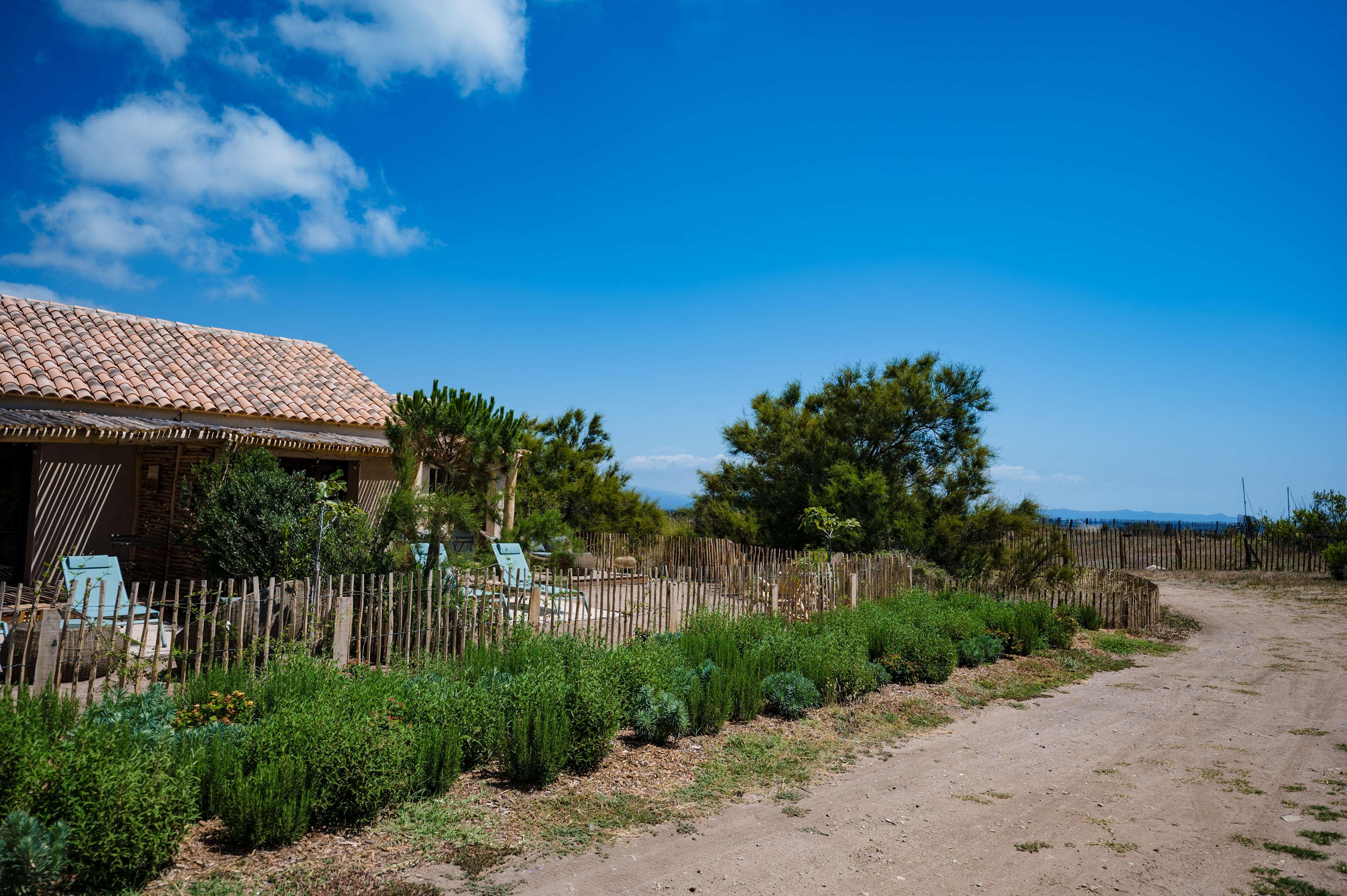 Junior Suite King Size Bed