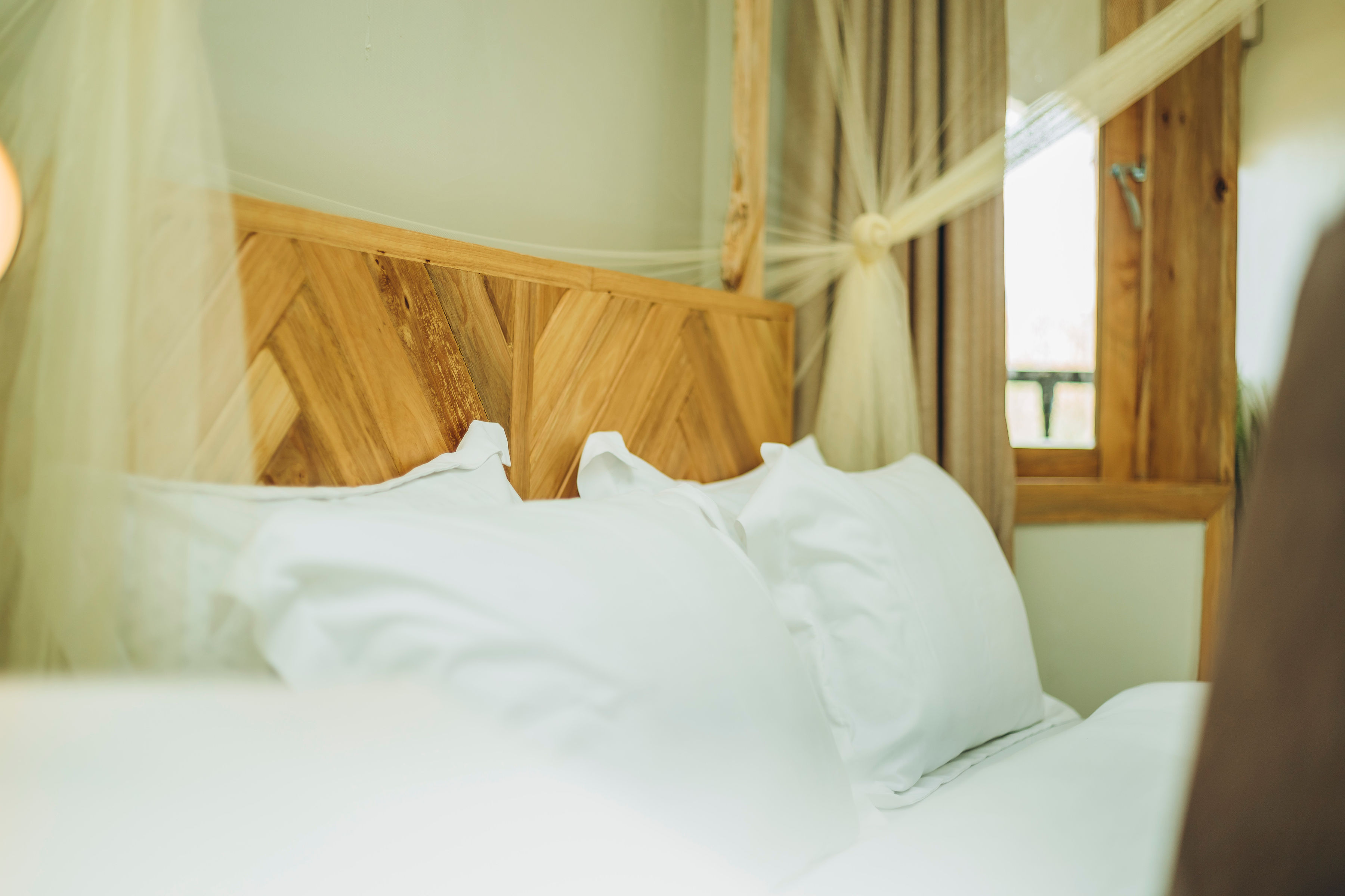 Double Deluxe Queen Bed