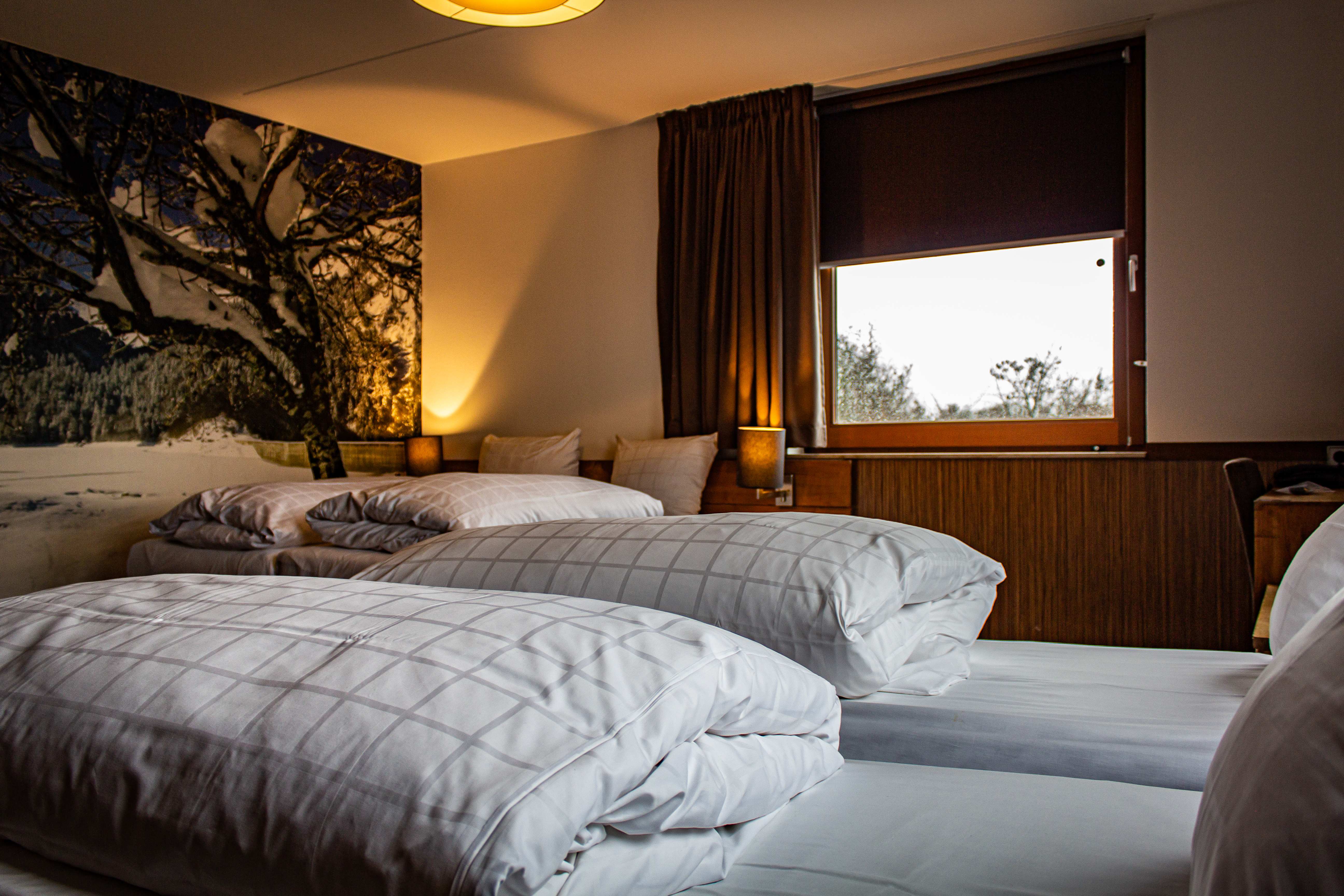 Double or Twin Comfort