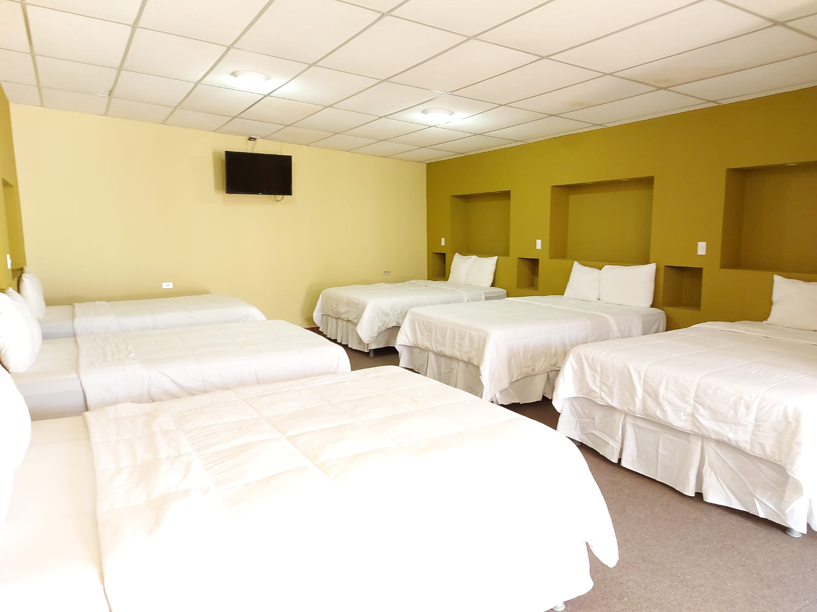 Family Room Deluxe Queen Bed