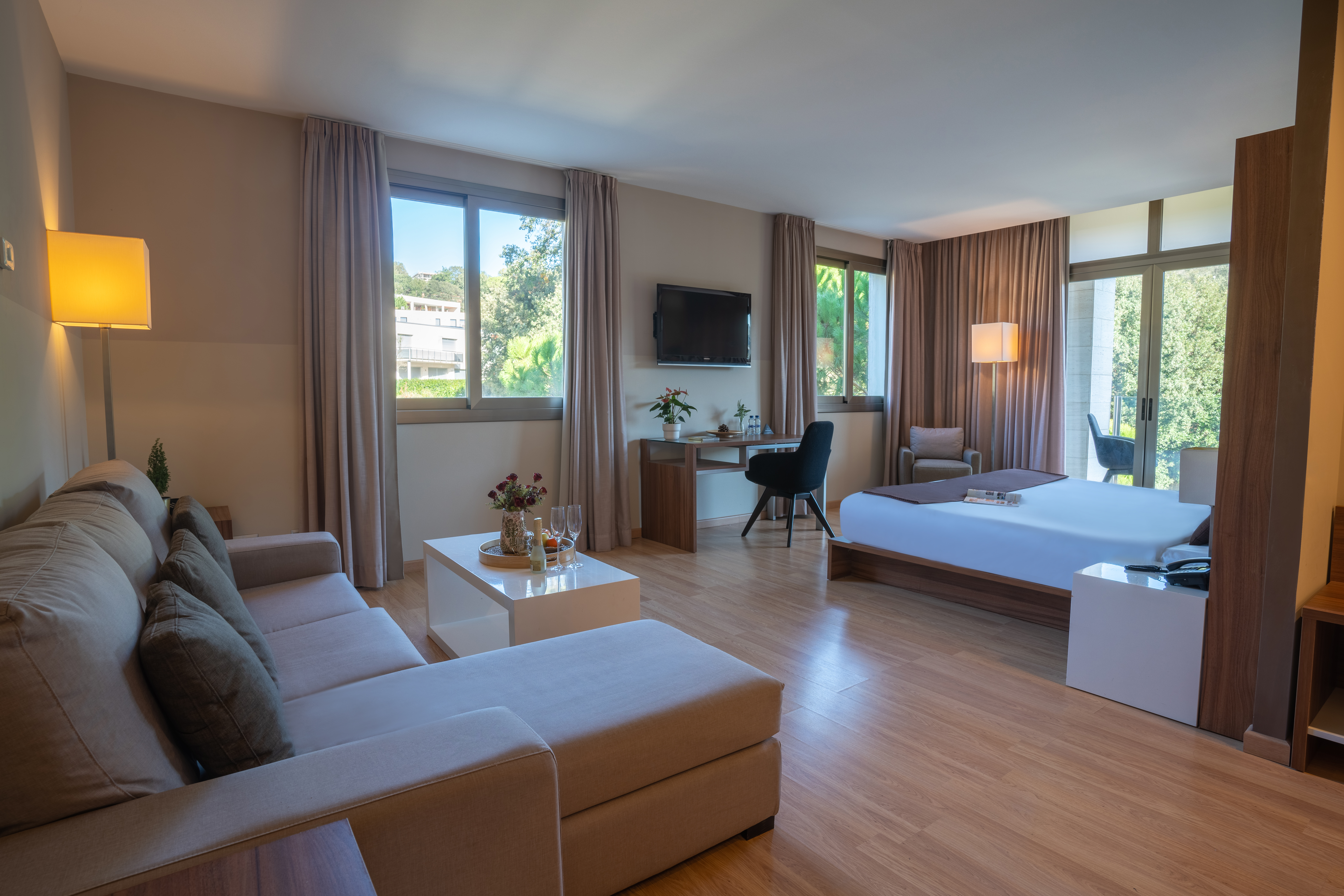 Suite King Bed One Bedroom 