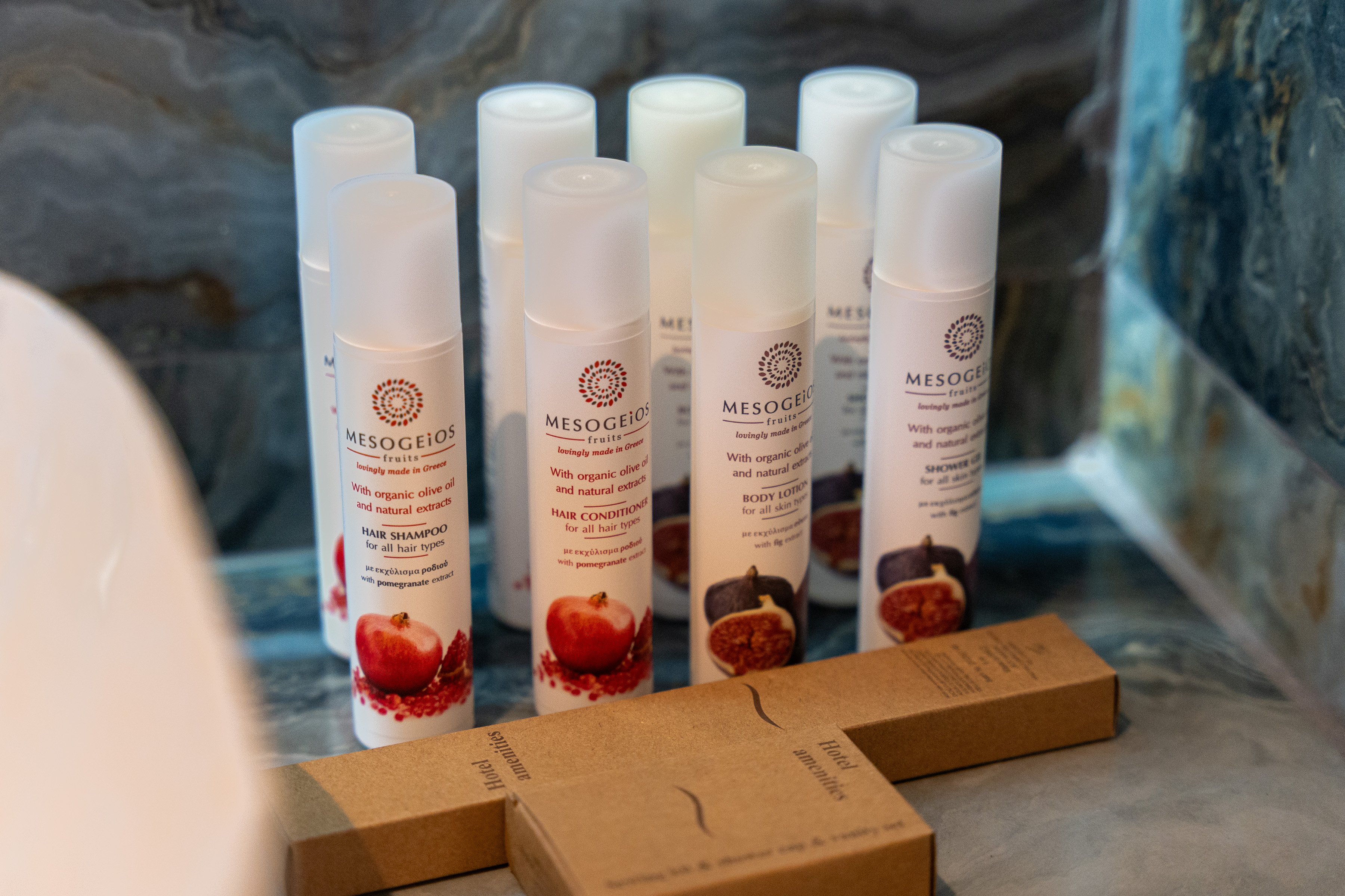 Double or Twin Deluxe Two Beds