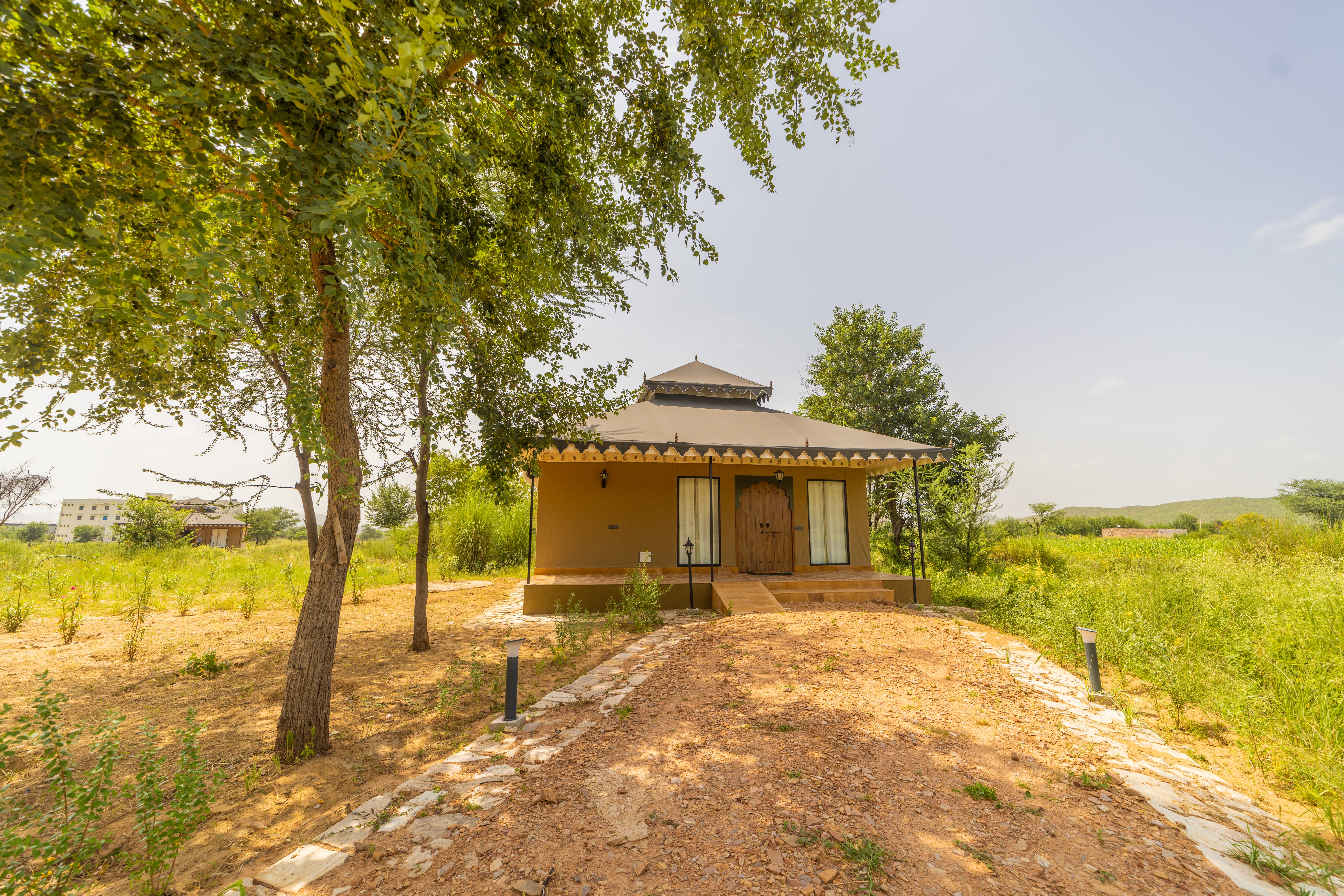 Tent Premium King Bed