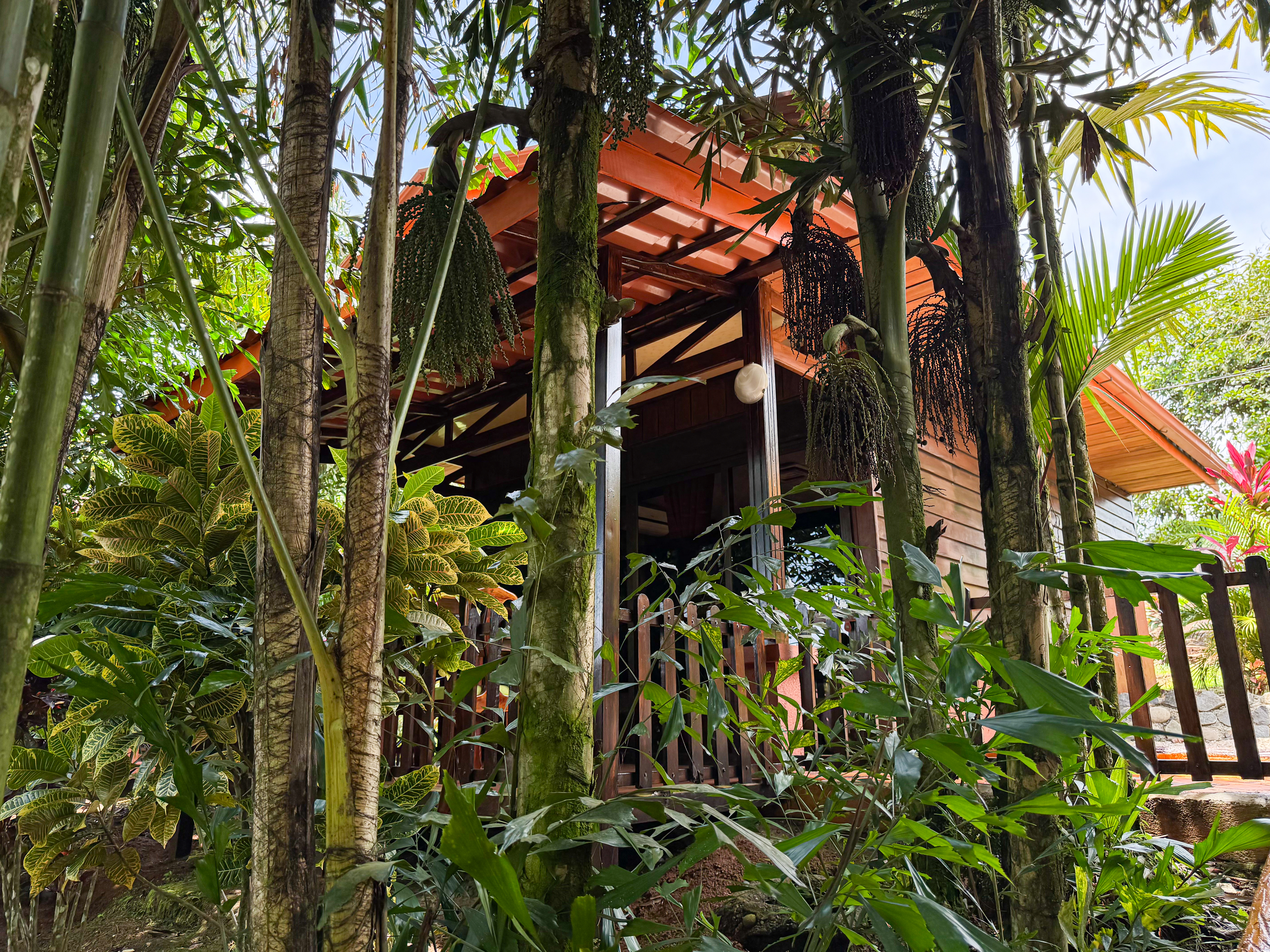 Double Single Comfort