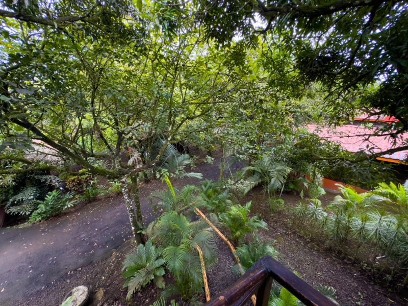 Bungalow Deluxe Two Beds