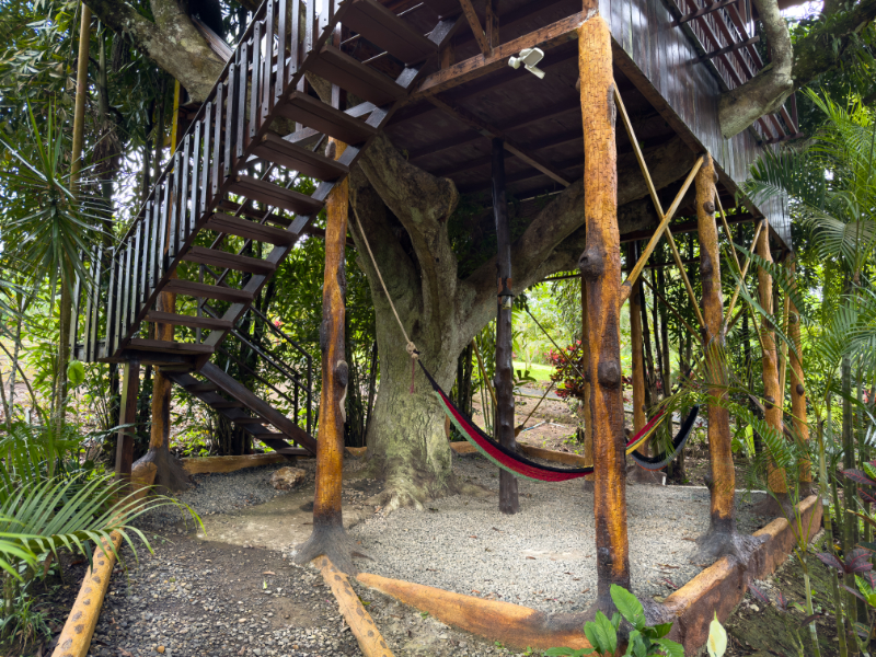 Bungalow Deluxe Two Beds