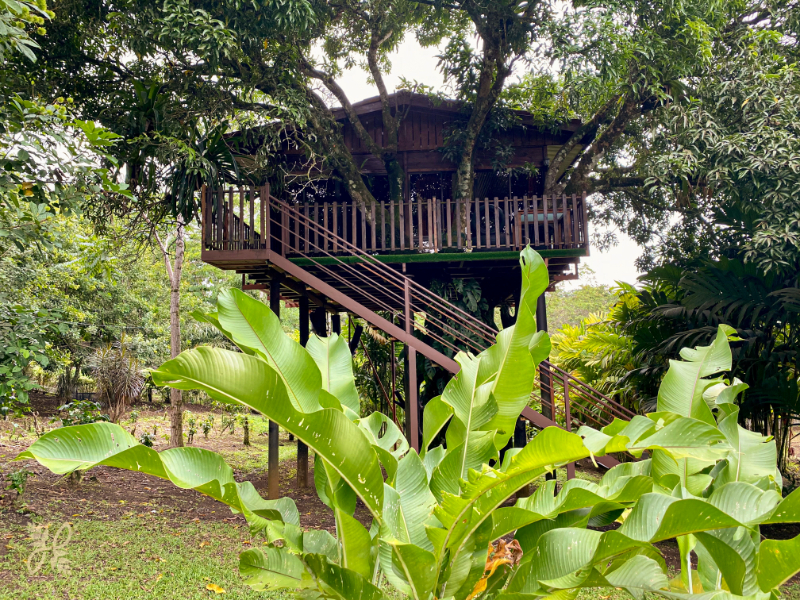 Bungalow Deluxe Two Beds