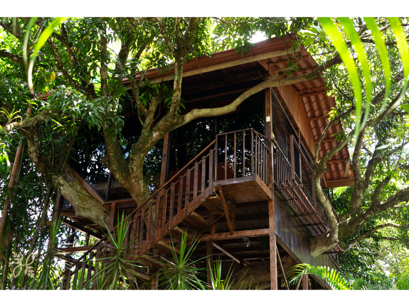 Bungalow Deluxe Two Beds