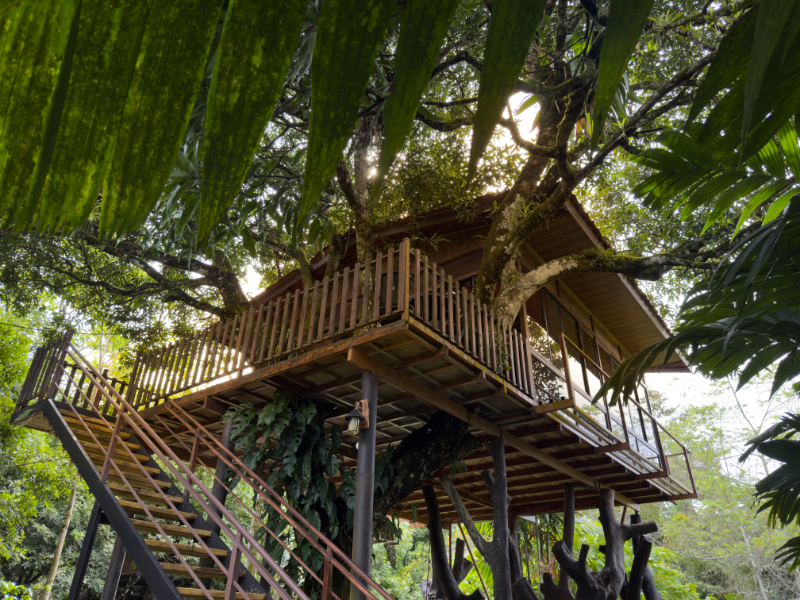 Bungalow Deluxe Two Beds