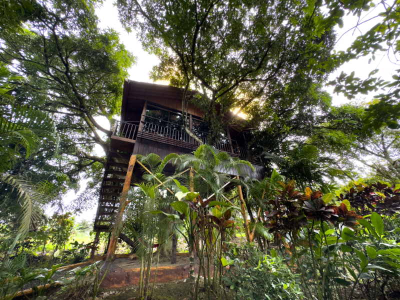 Bungalow Deluxe Two Beds