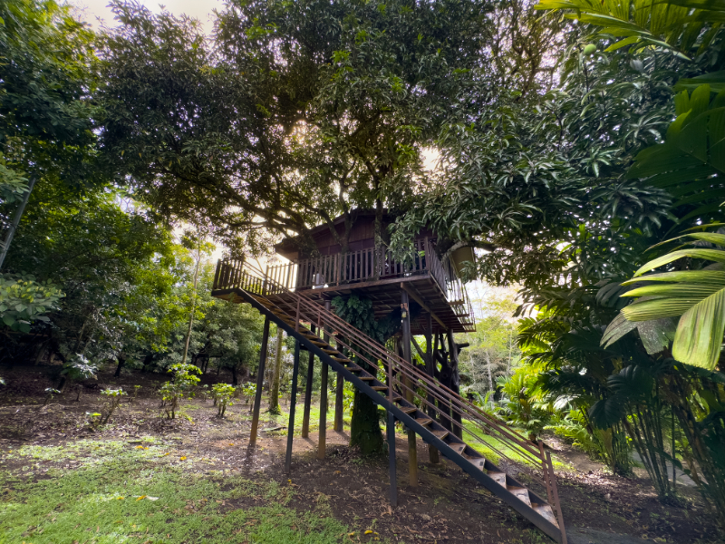 Bungalow Deluxe Two Beds