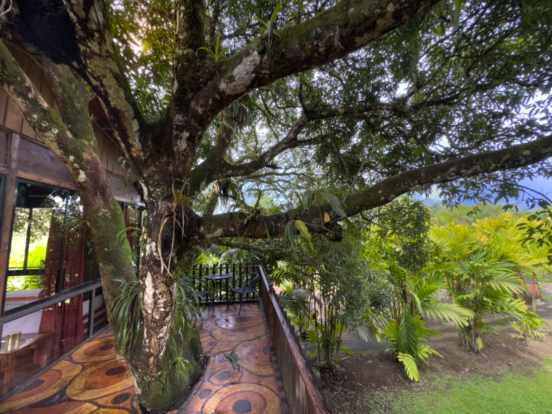 Bungalow Deluxe Two Beds