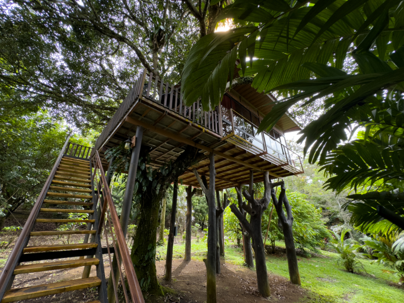 Bungalow Deluxe Two Beds