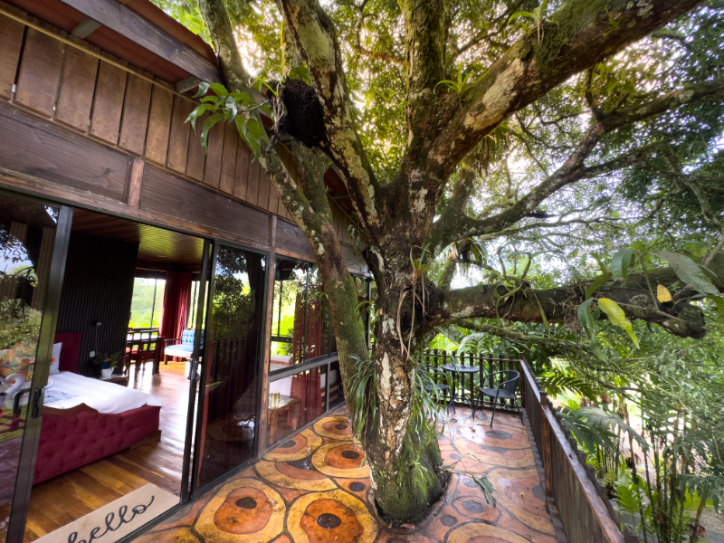 Bungalow Deluxe Two Beds