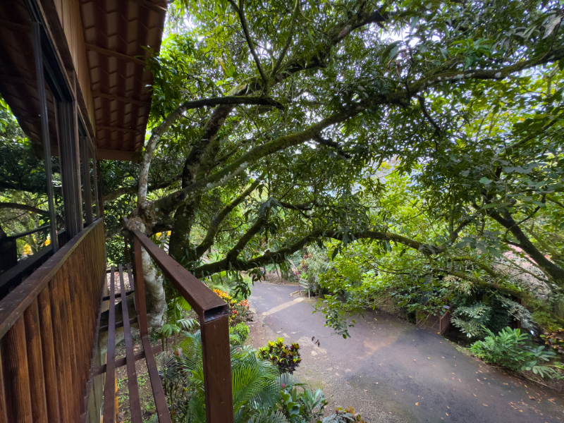 Bungalow Deluxe Two Beds