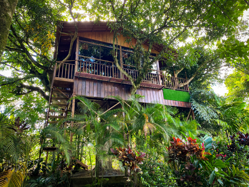 Bungalow Deluxe Two Beds