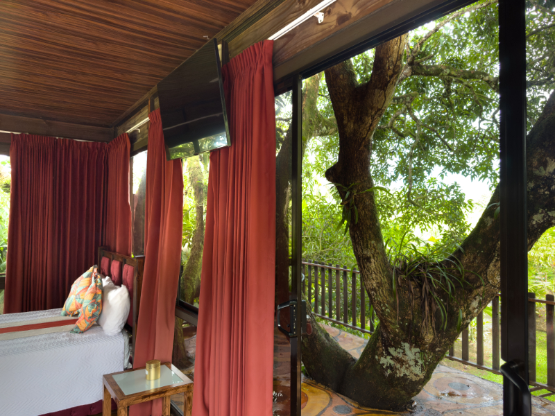 Bungalow Deluxe Two Beds