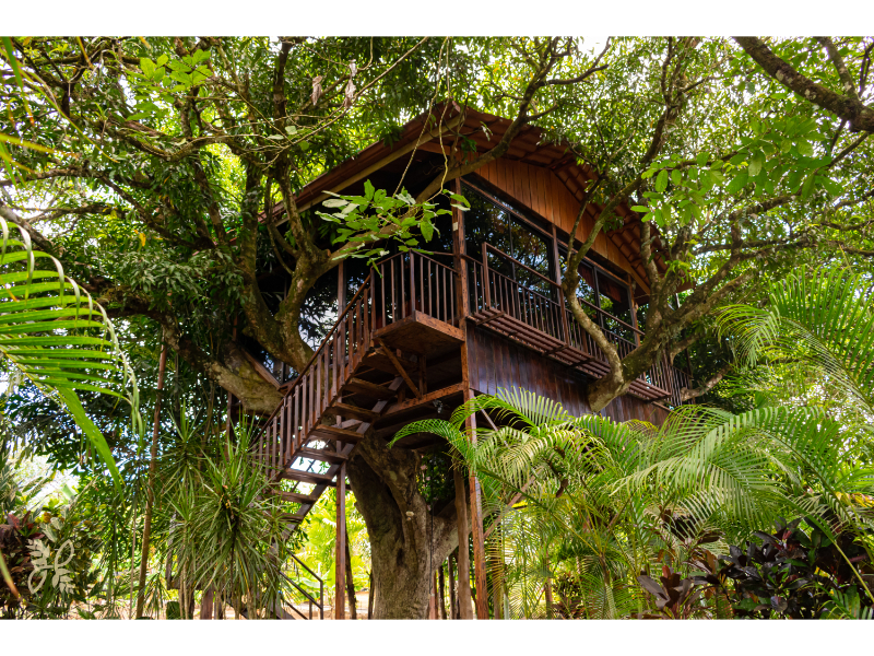 Bungalow Deluxe Two Beds