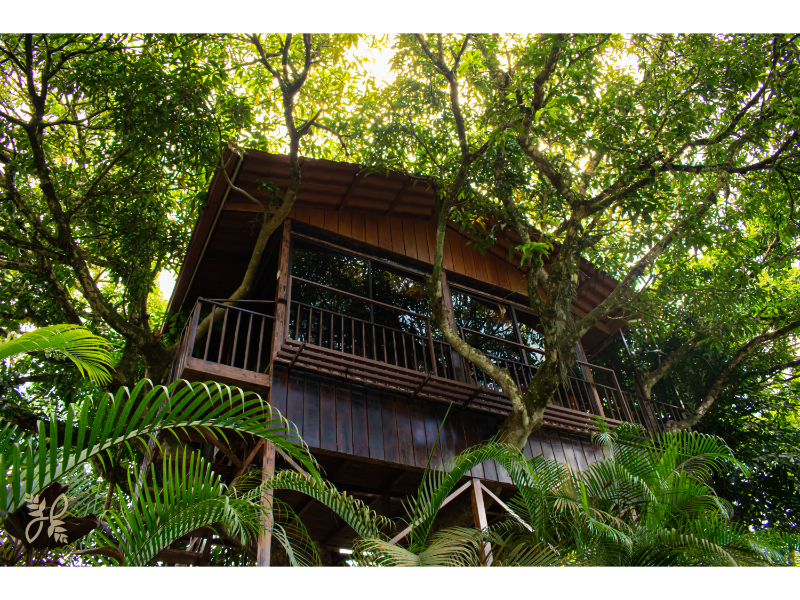 Bungalow Deluxe Two Beds