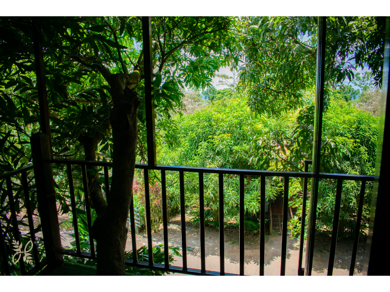 Bungalow Deluxe Two Beds