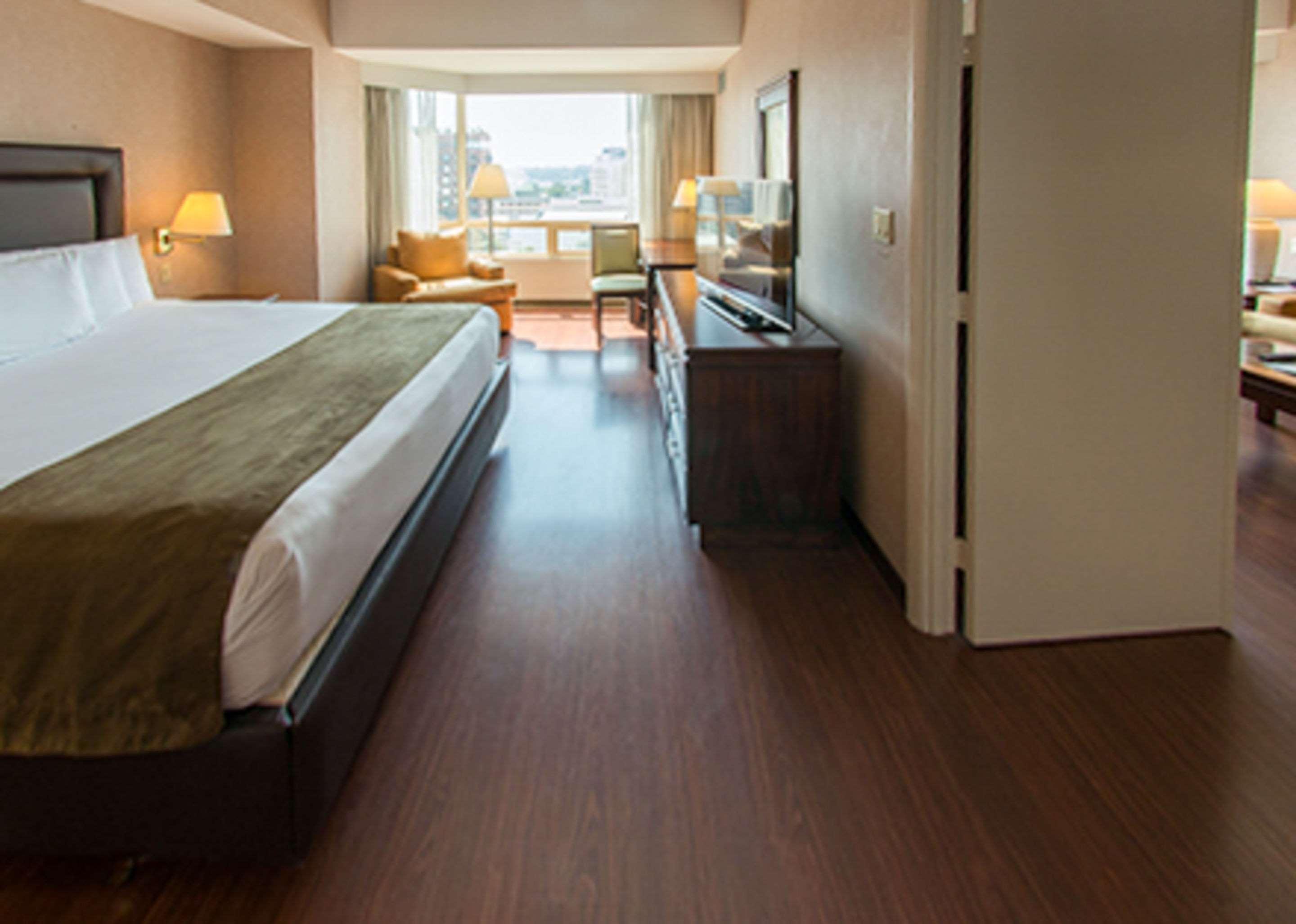 Suite King Bed Non Smoking