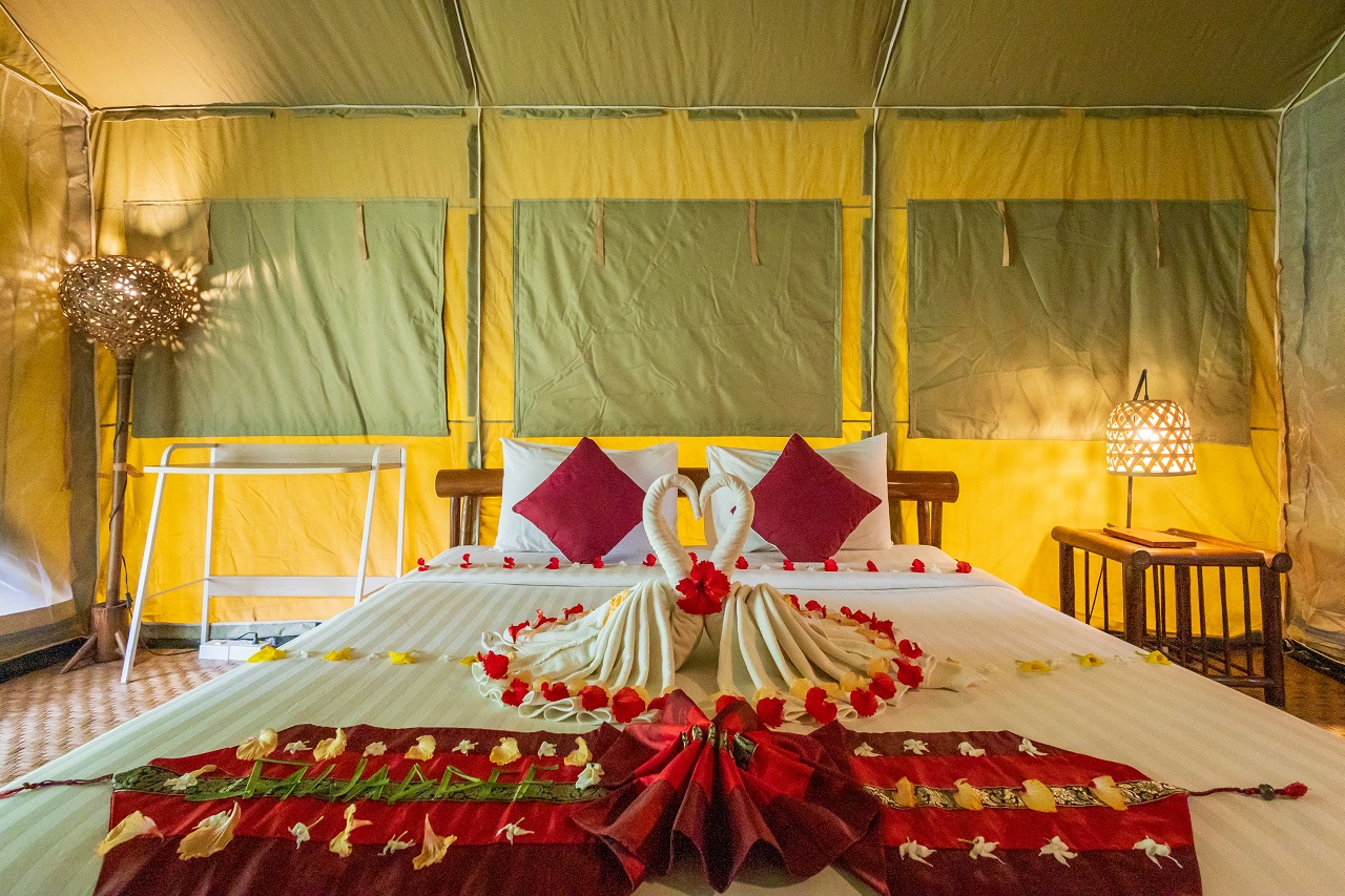 Double or Twin Standard