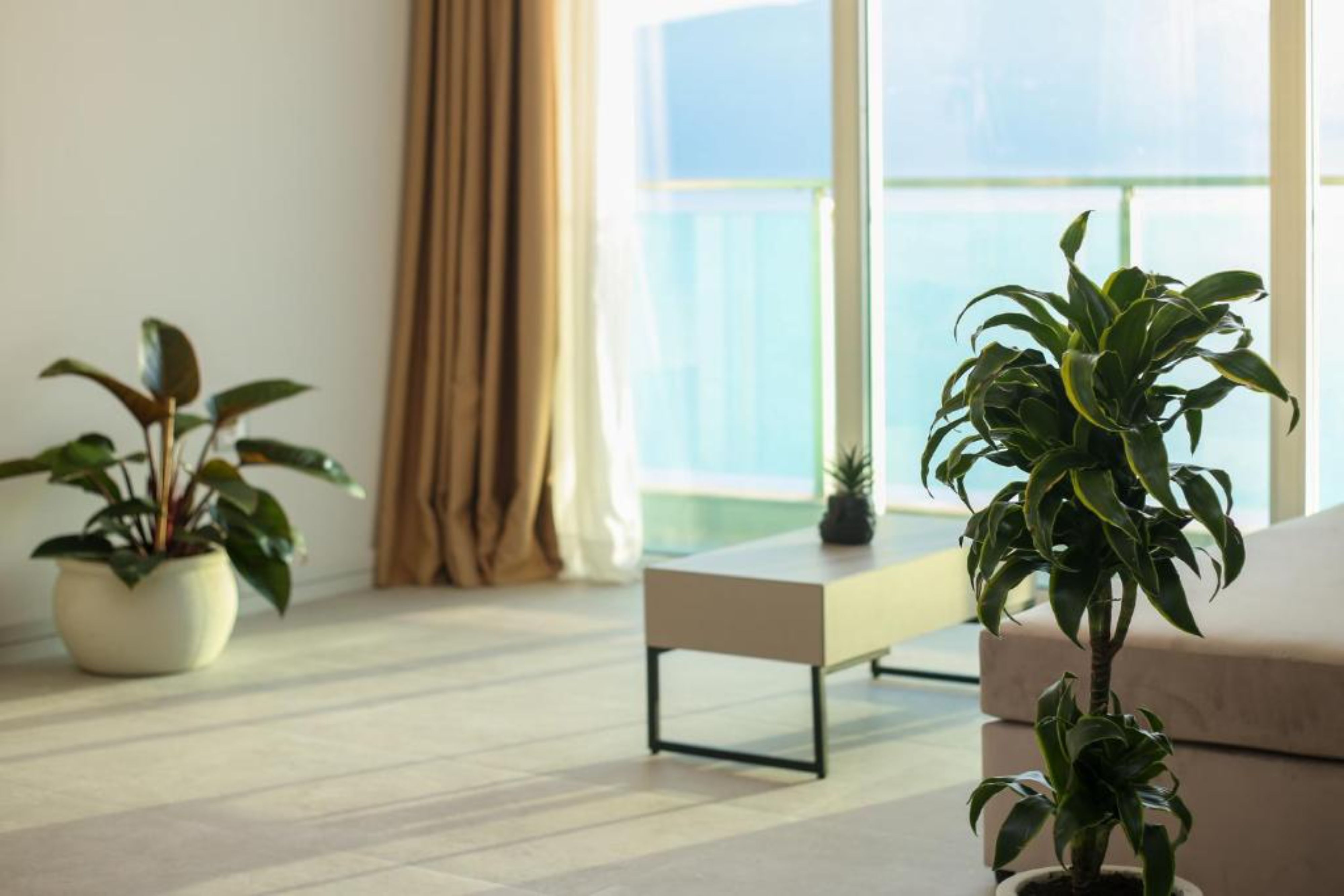 Suite Sea View with Air Conditioning