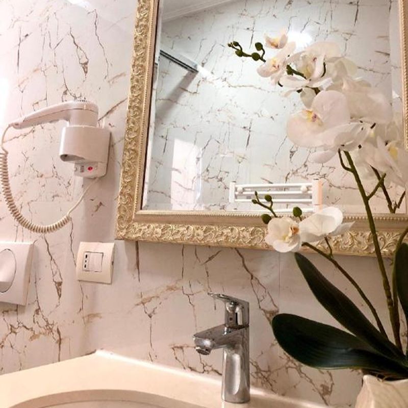 Double or Twin Economy