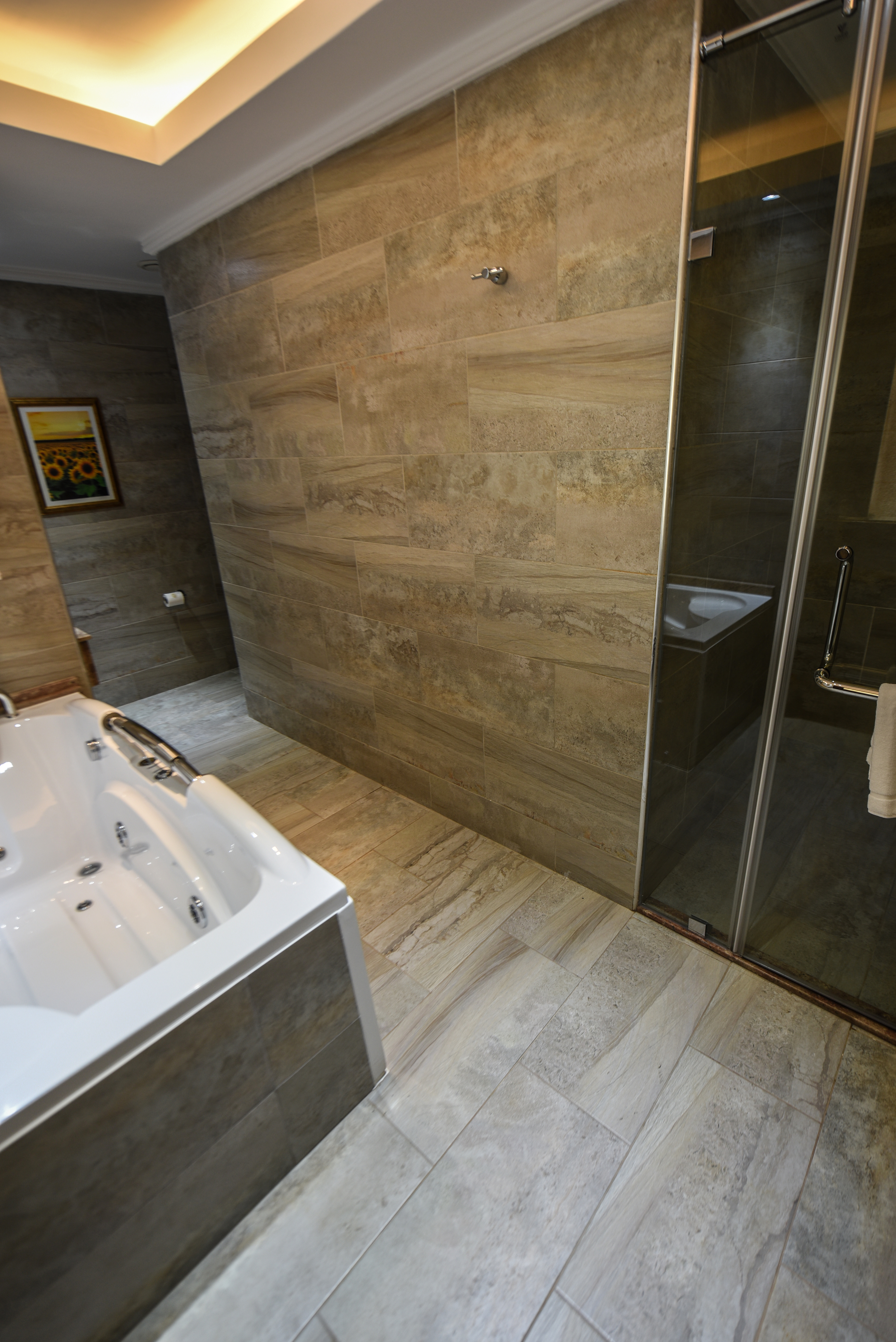 Suite Presidential with Views