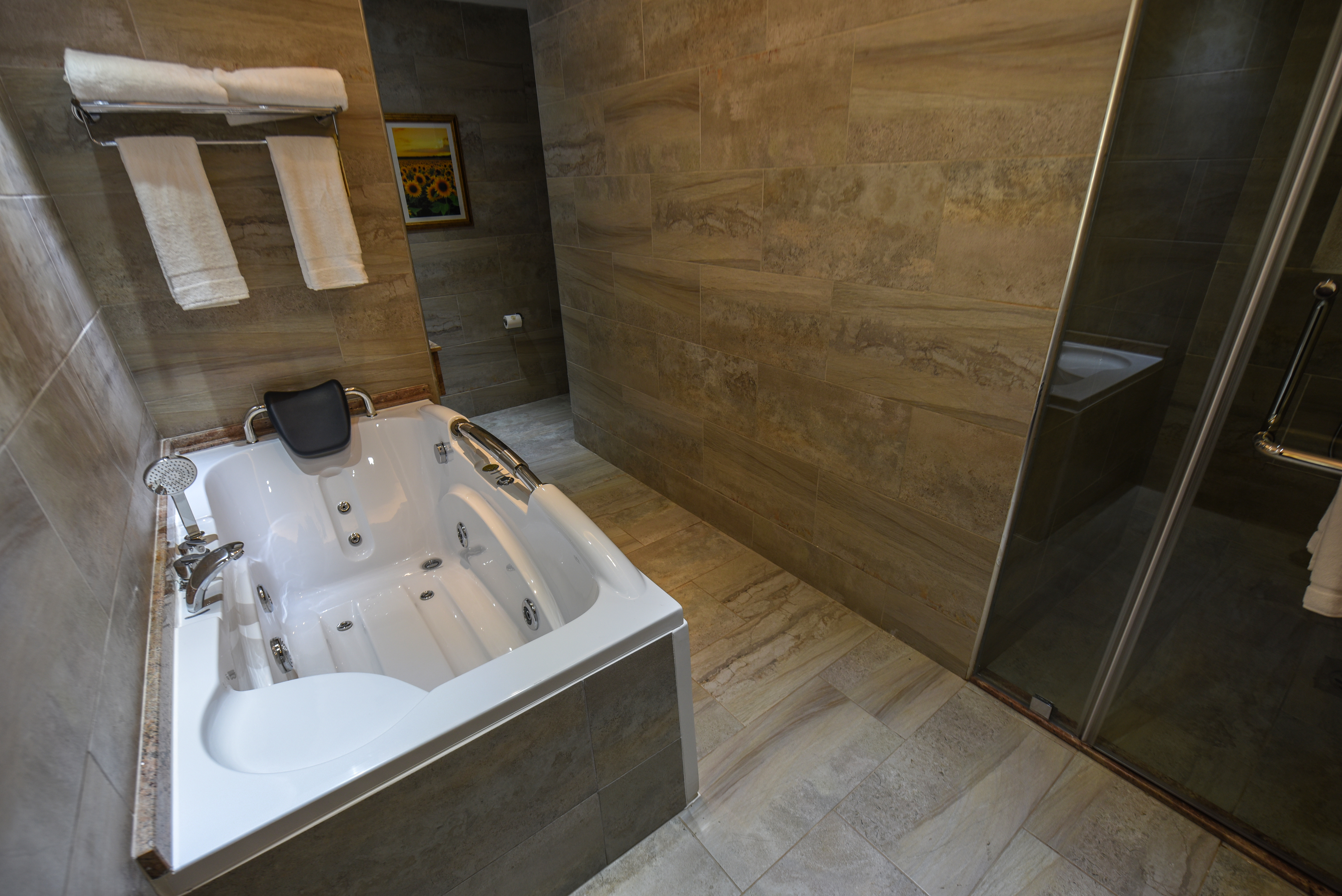 Suite Presidential with Views