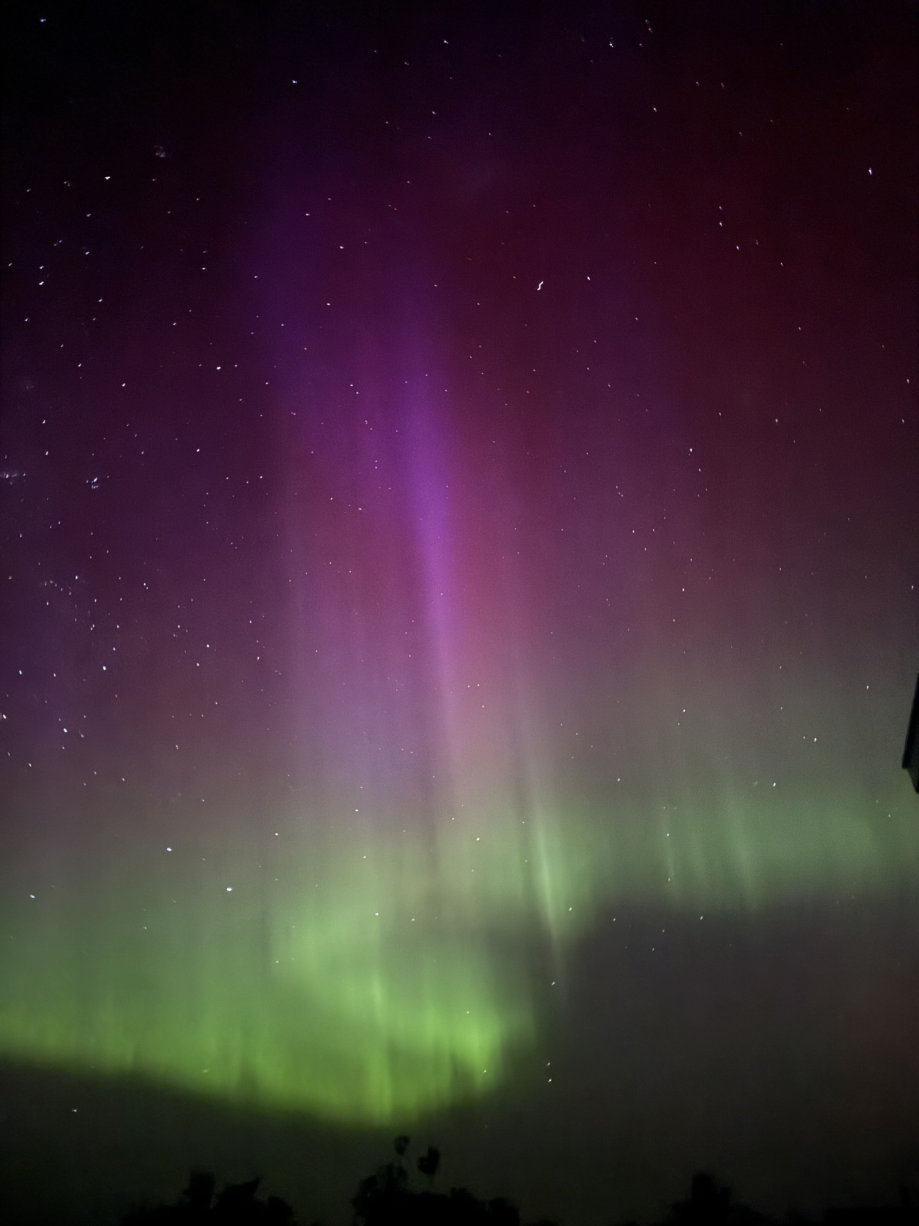 Tent Deluxe Ocean View One Bedroom