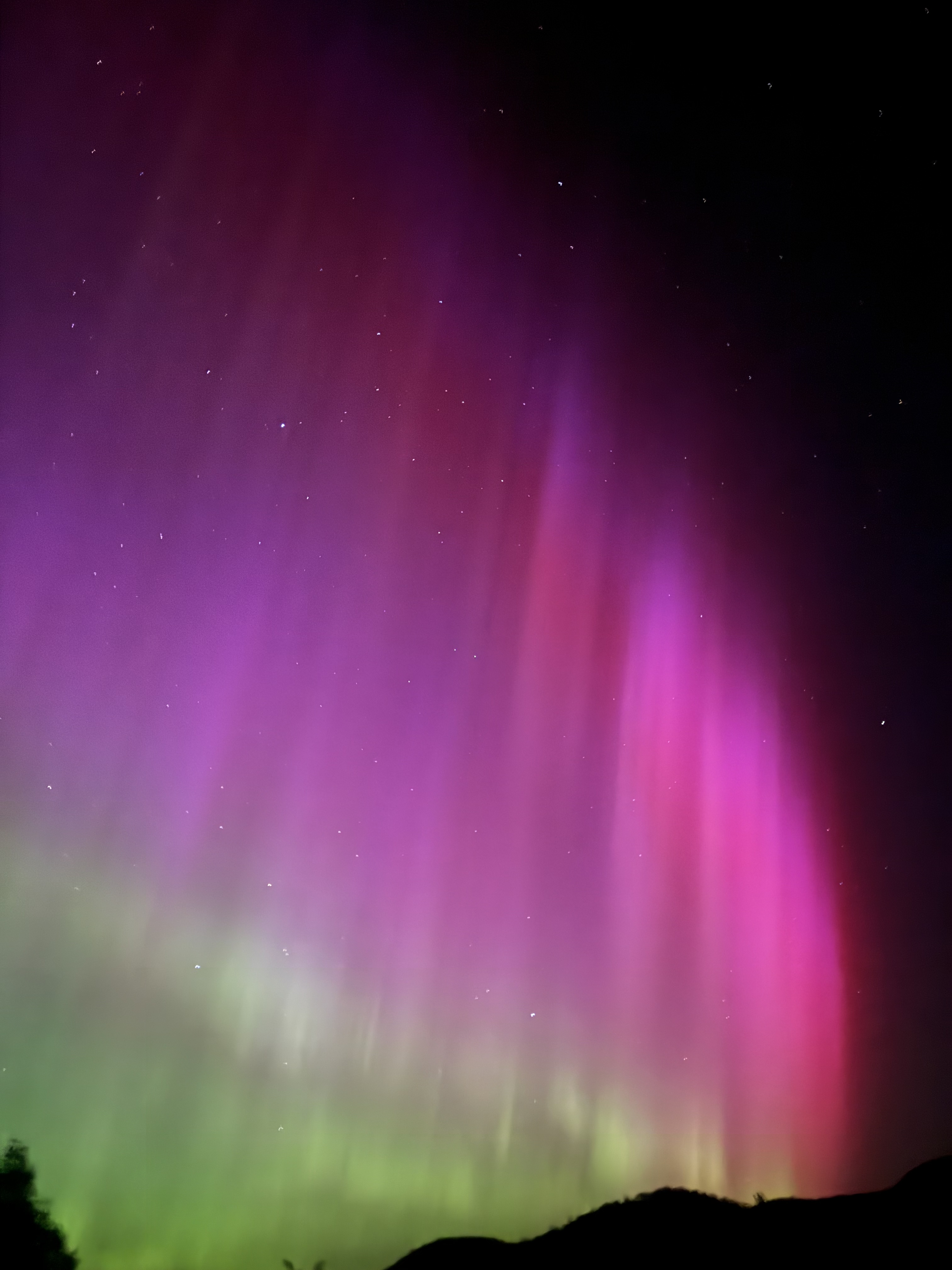 Tent Deluxe Ocean View One Bedroom