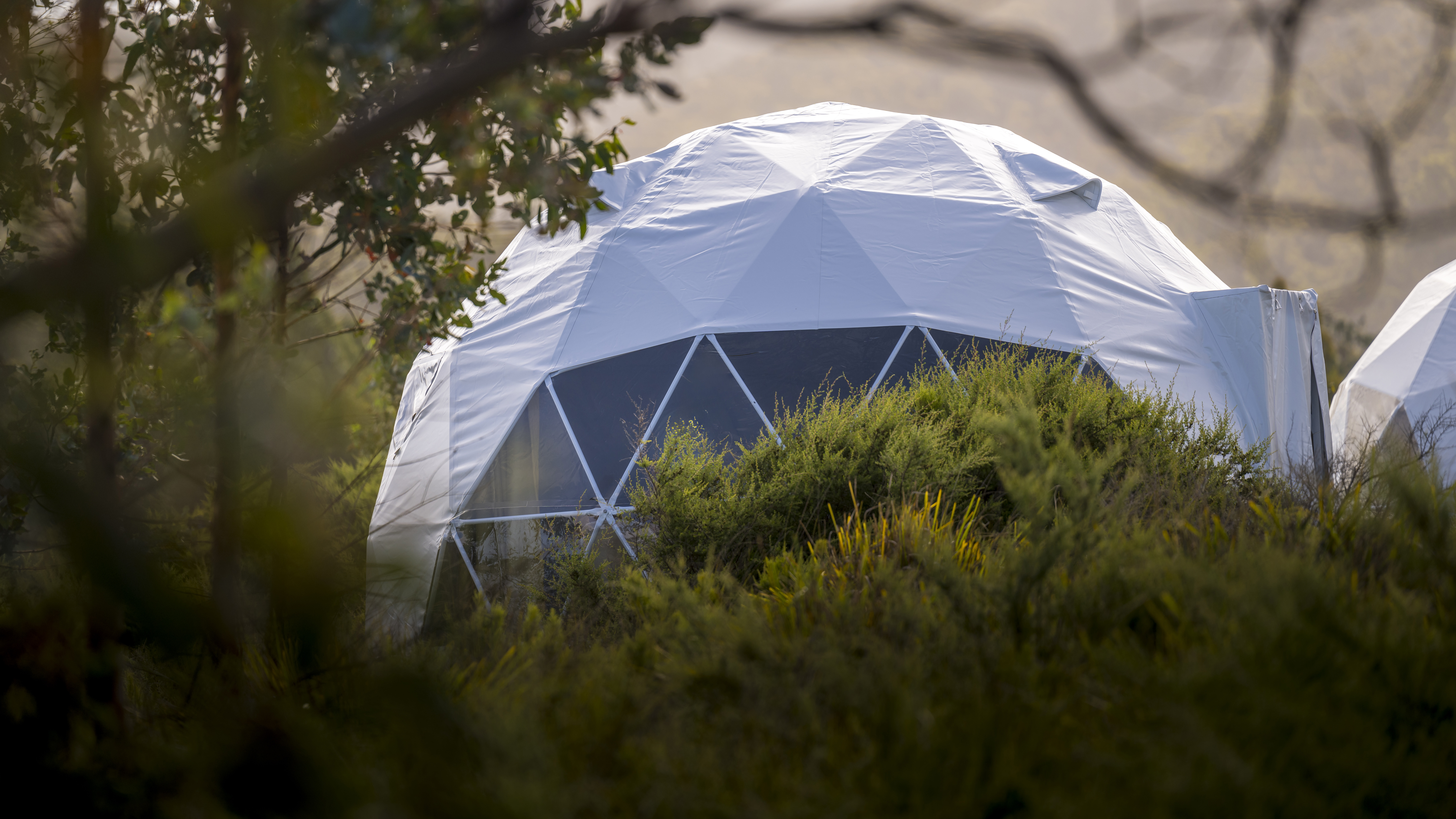 Tent Garden View King Bed