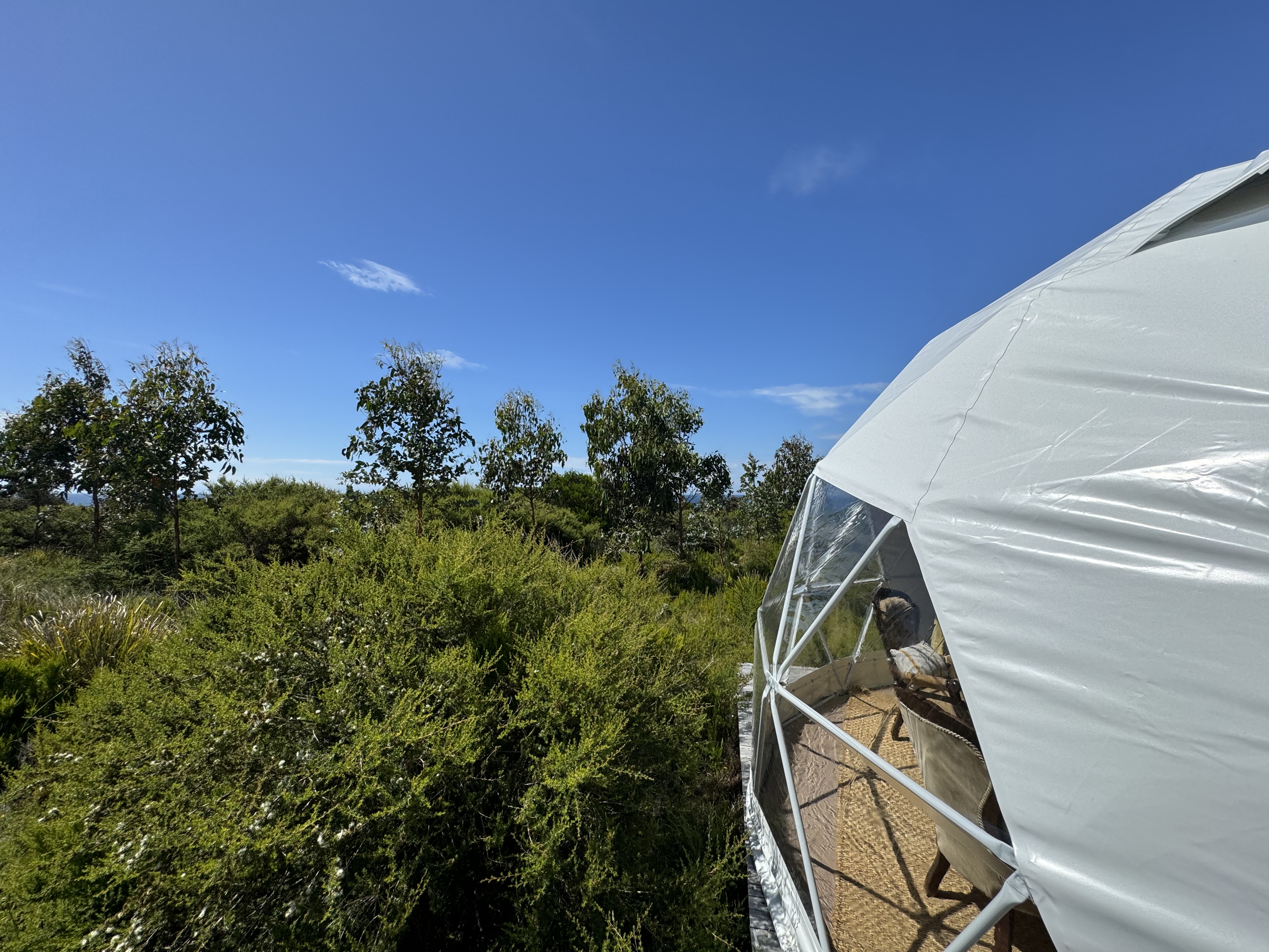 Tent Deluxe Ocean View One Bedroom