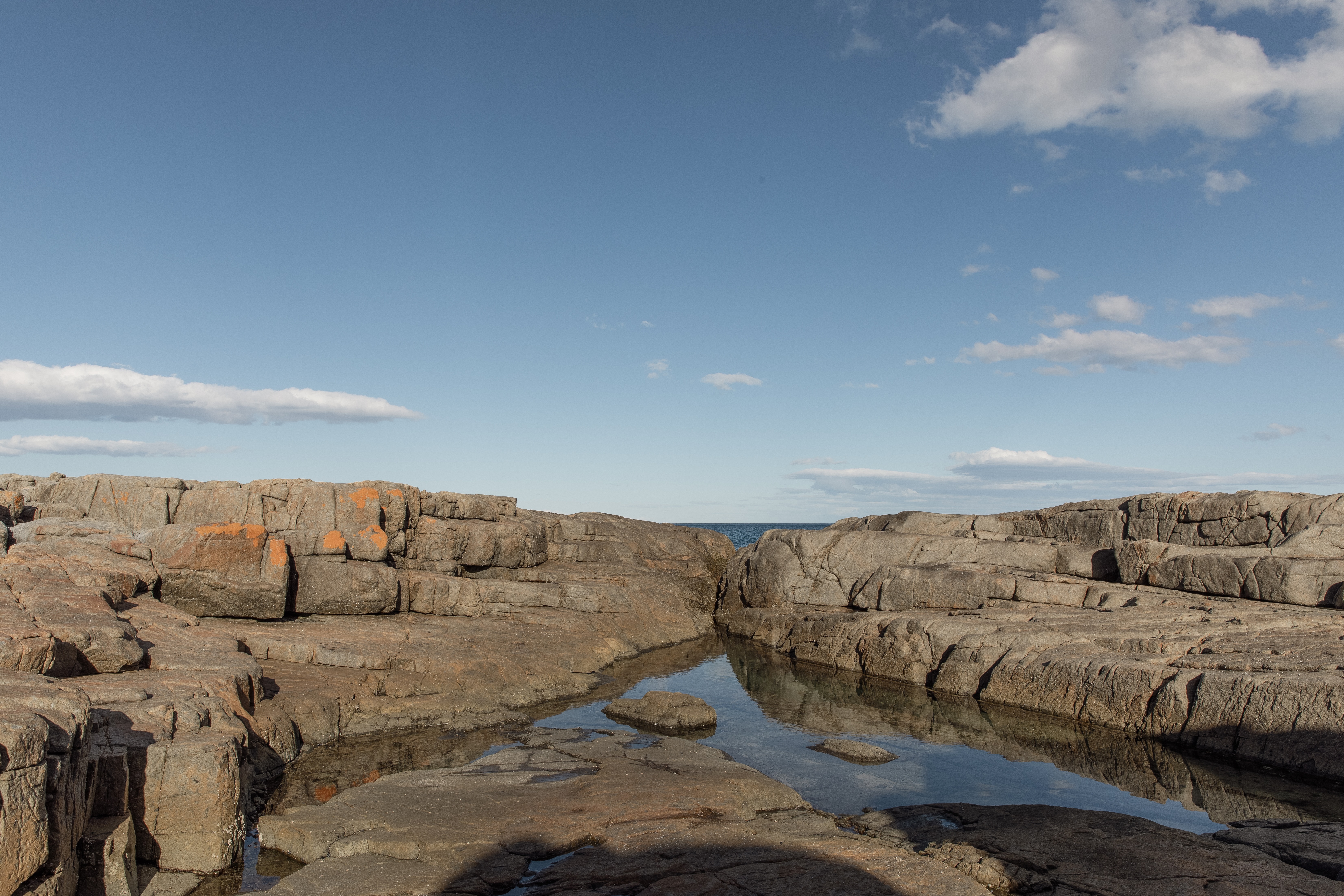 Quadruple Deluxe Ocean View