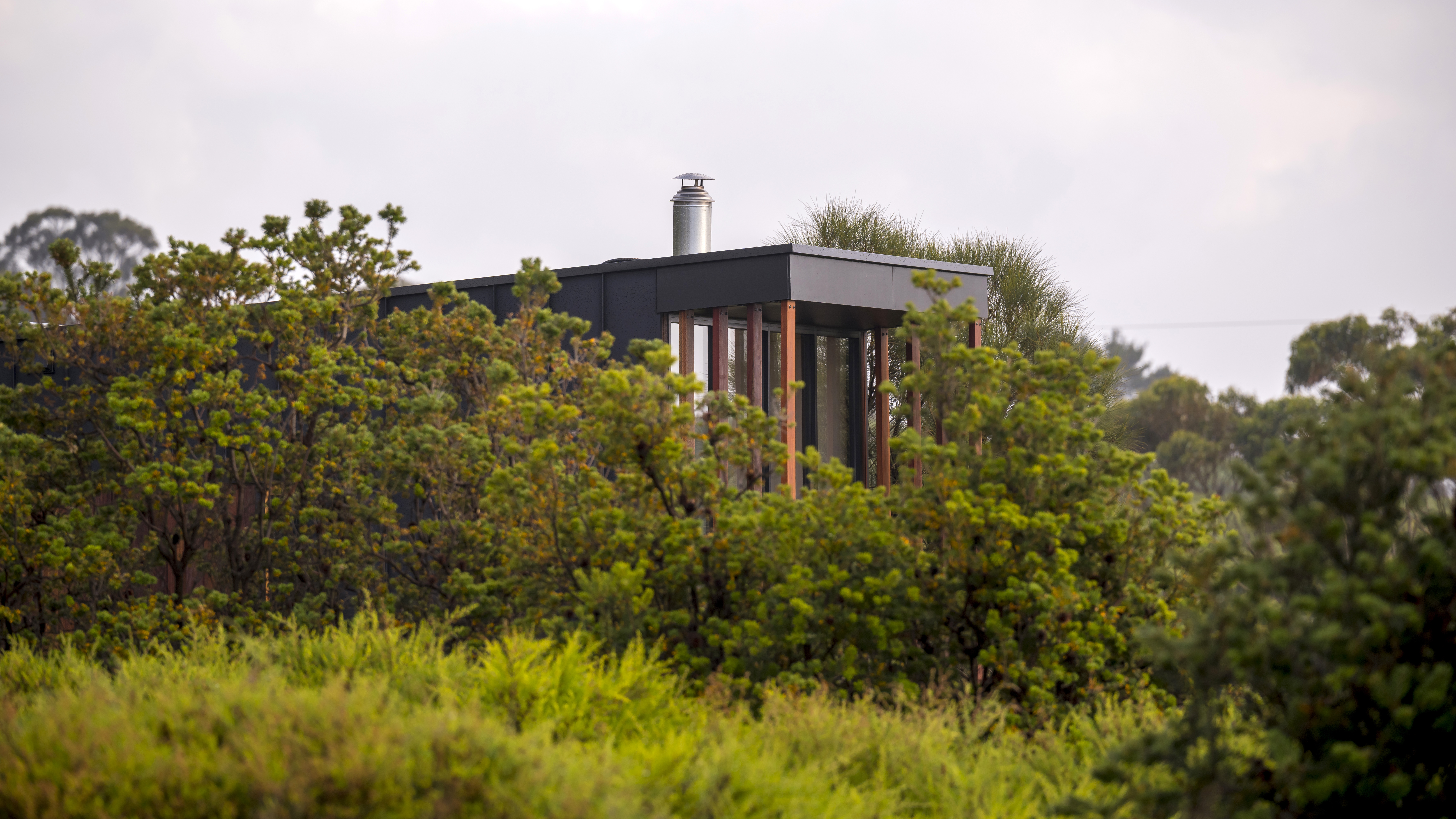 Double Deluxe Ocean View