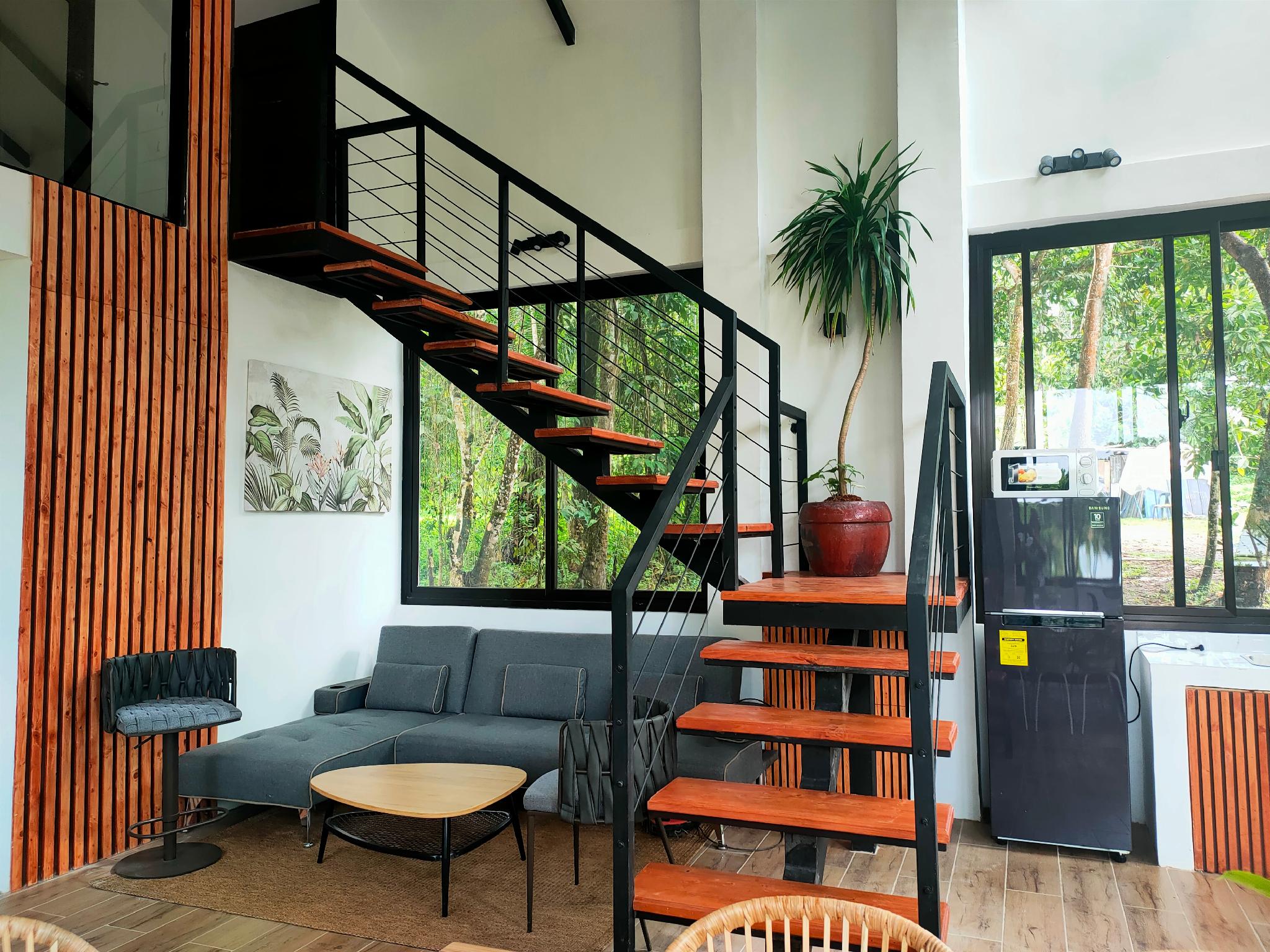 Family Room King Size Bed