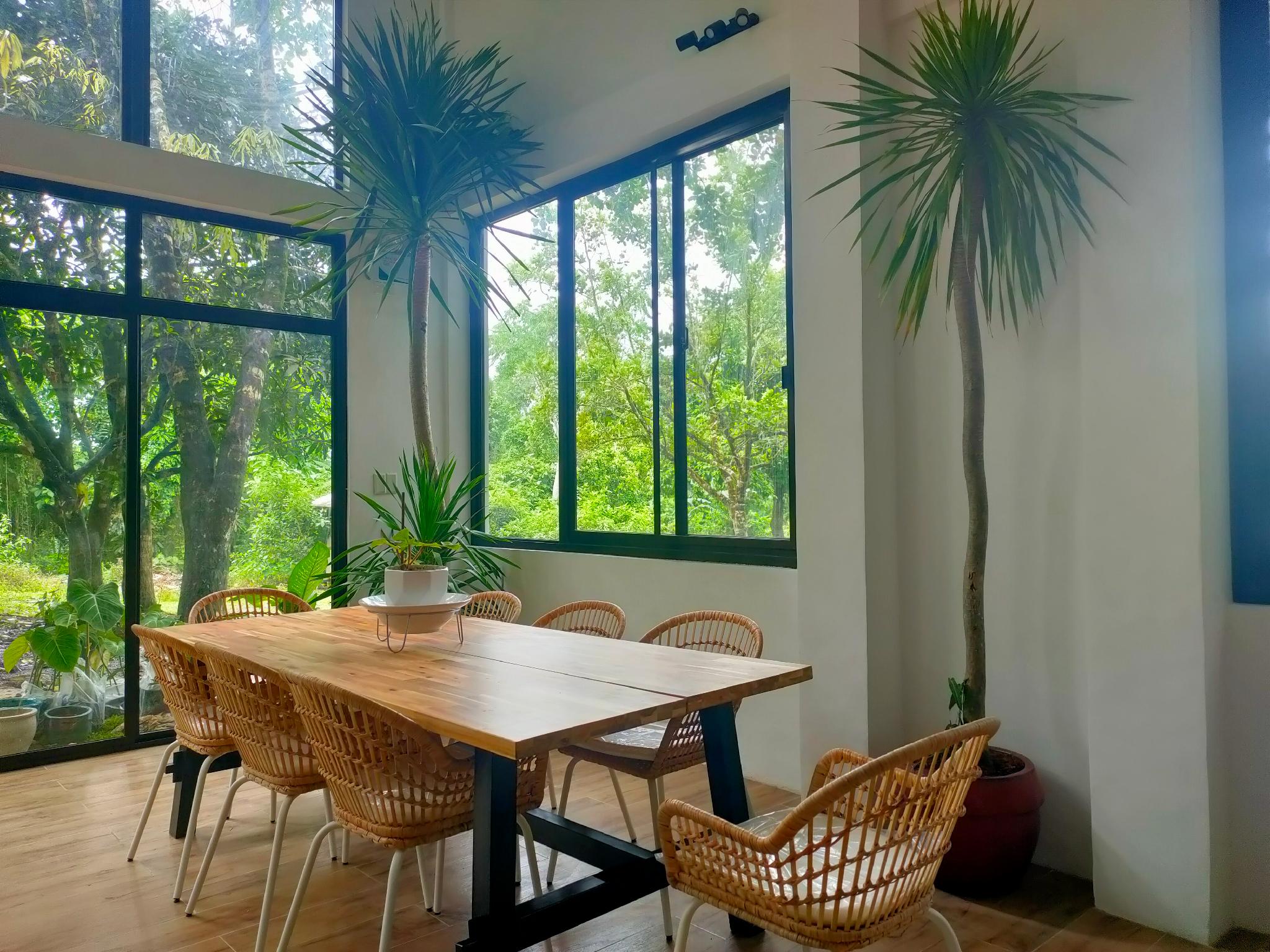 Family Room King Size Bed