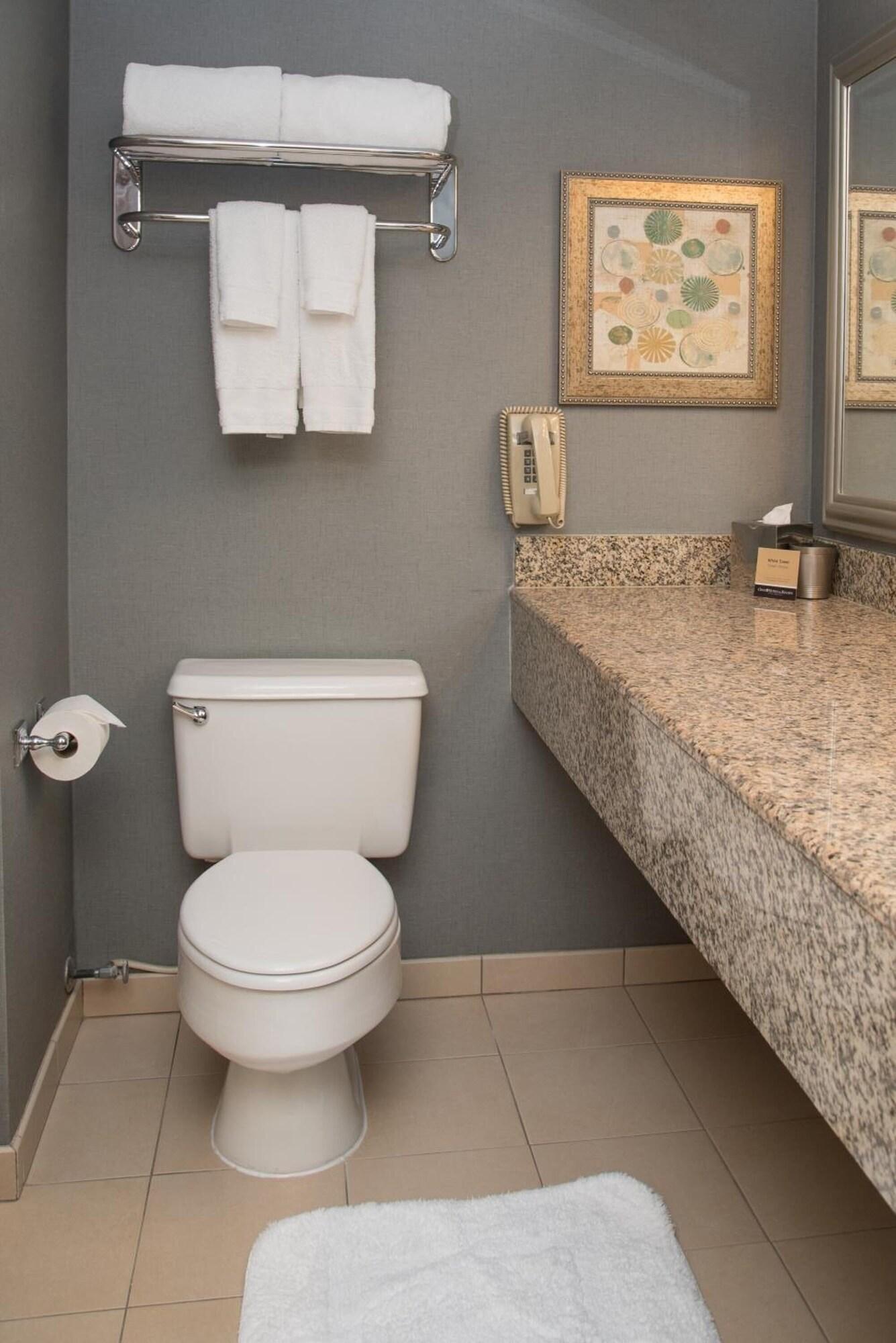 Double City View King Bed