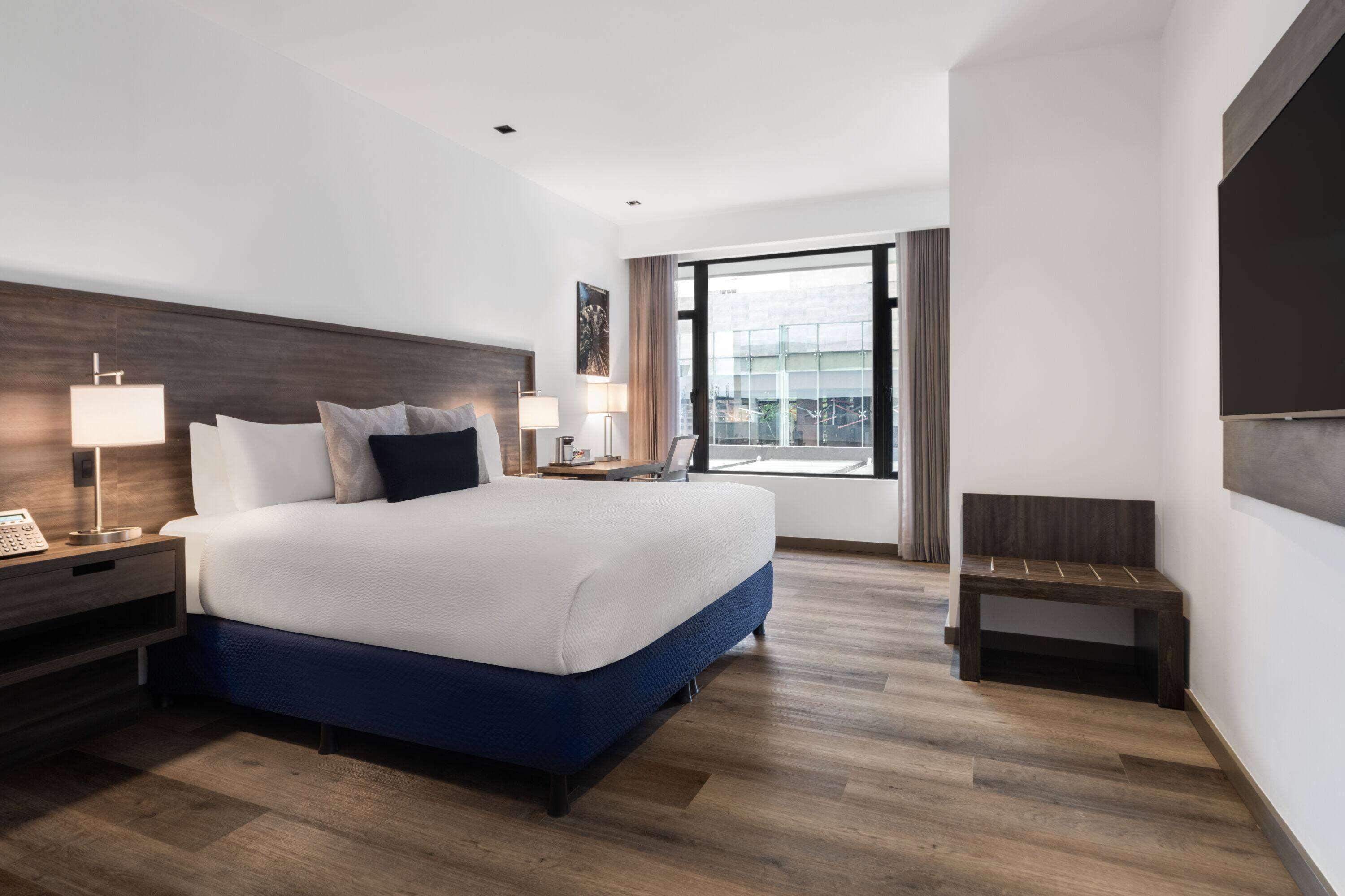 Room Accessible King Size Bed