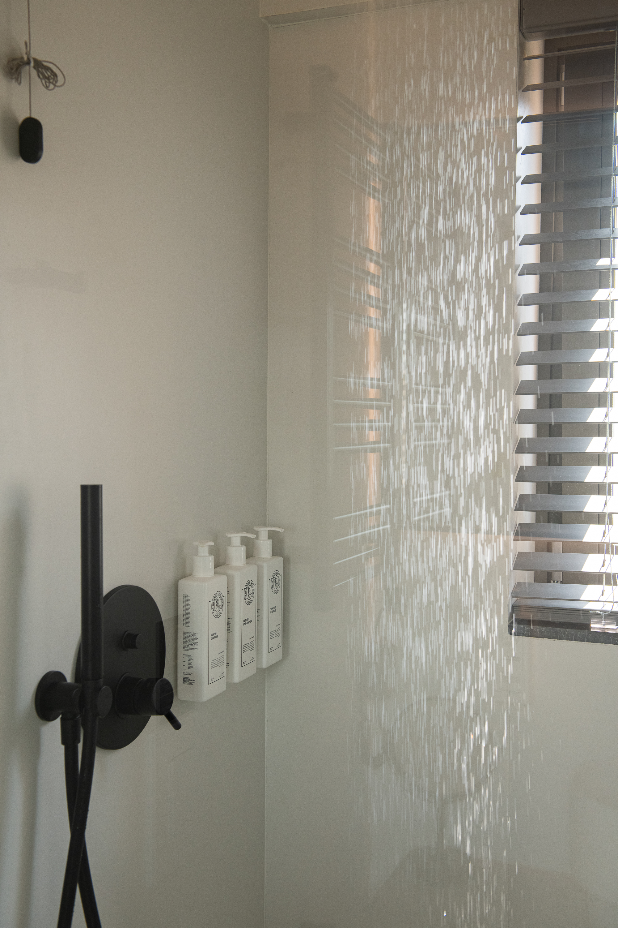 Double or Twin Basic