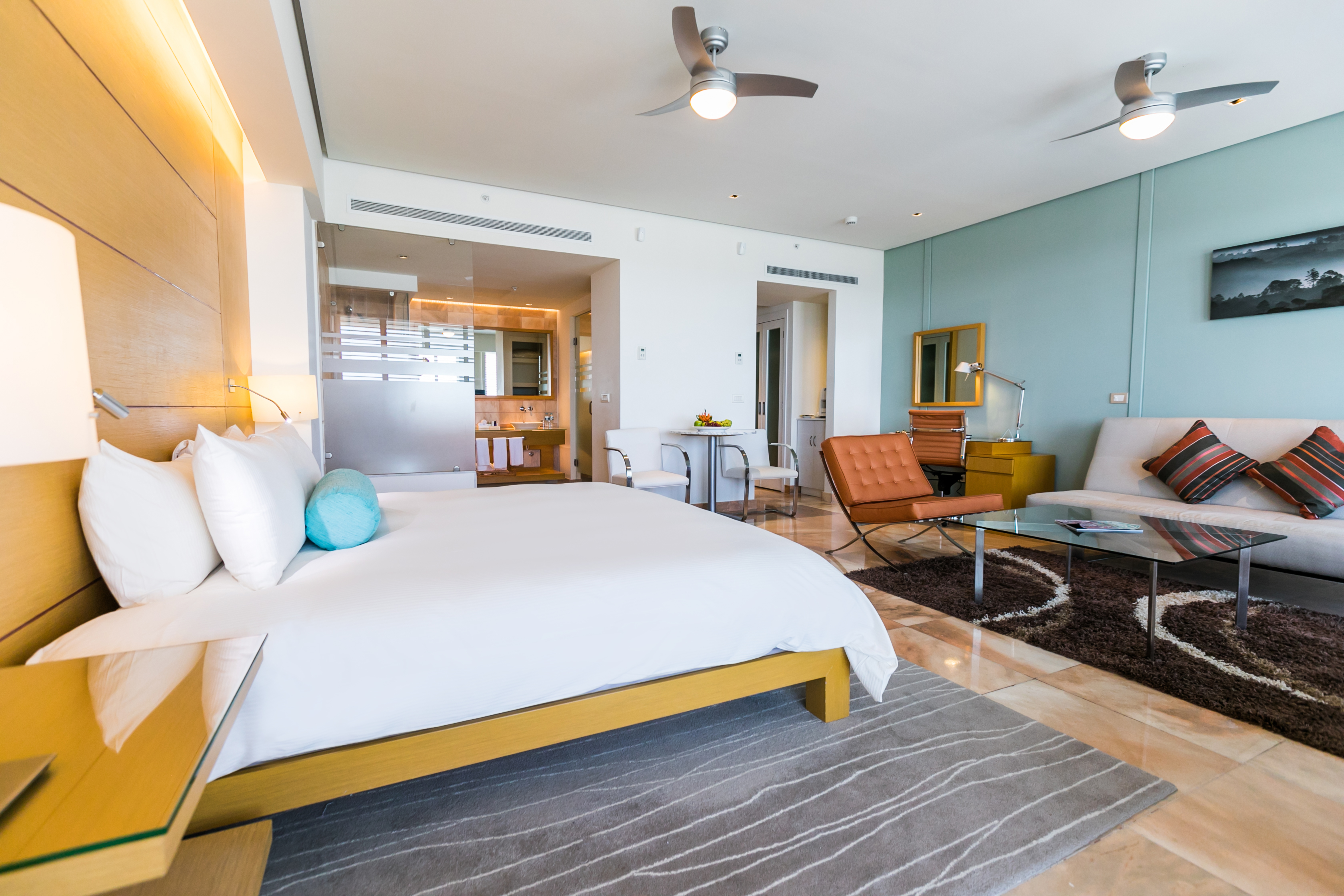 Junior Suite City View King Bed